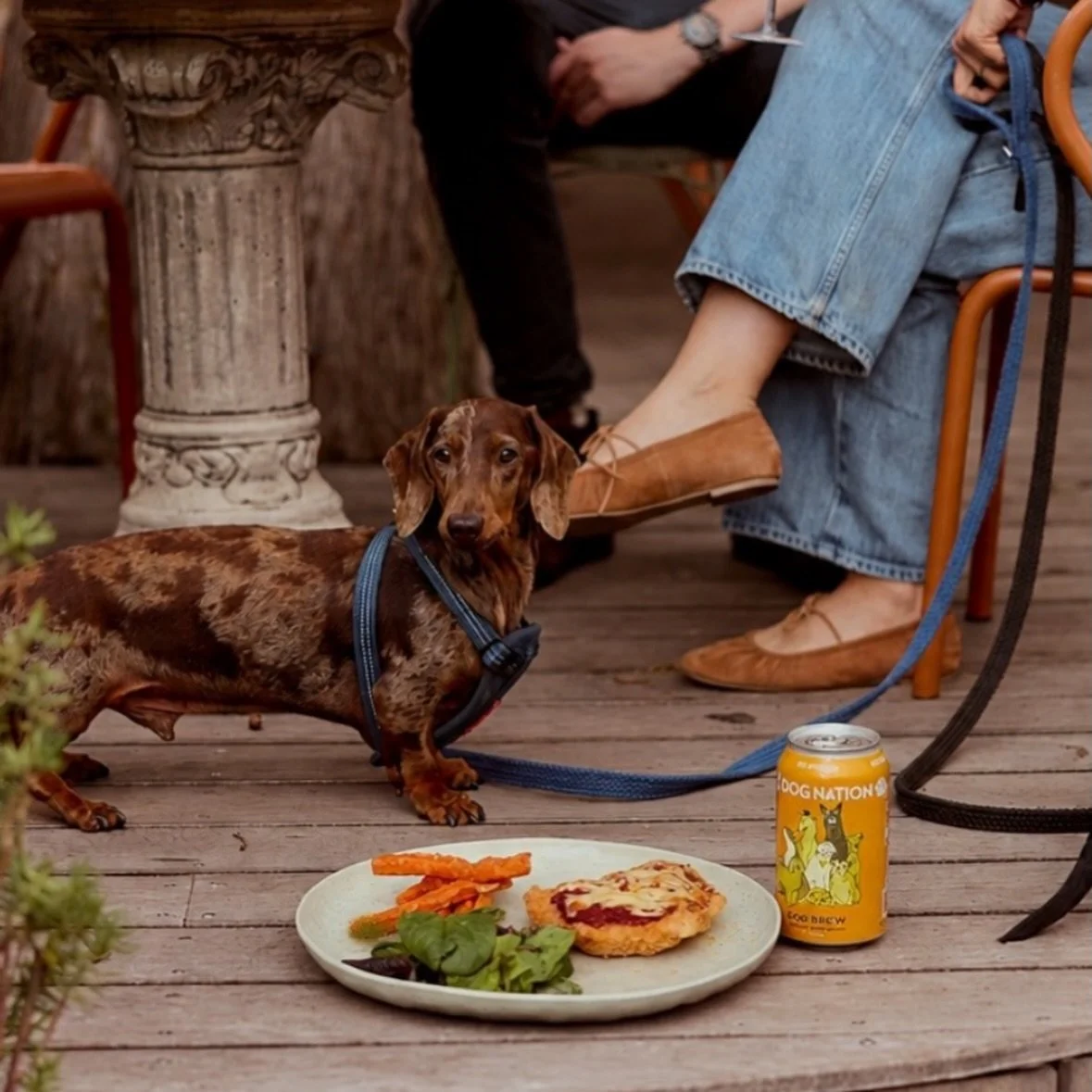Stop everything your doing, cause this pub just launched a doggy parmi 😯 just when we thought a Friday night at the pub with your pooch couldn&rsquo;t get any better 🍺🐾 @hotelrailway_brunswick 

#dogfriendlymelbourne #dogfriendlypub