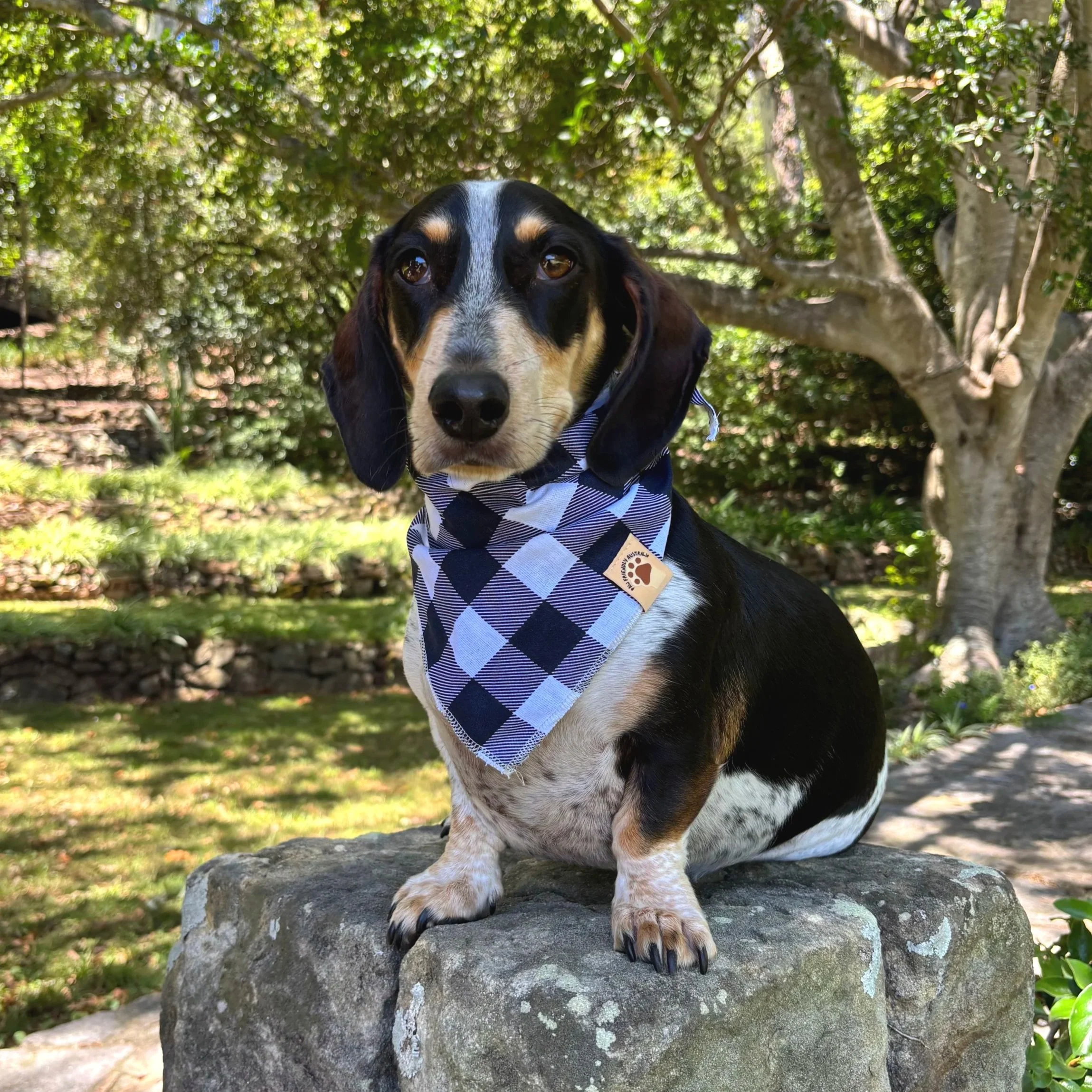 Navy Gingham Dog Bandanna