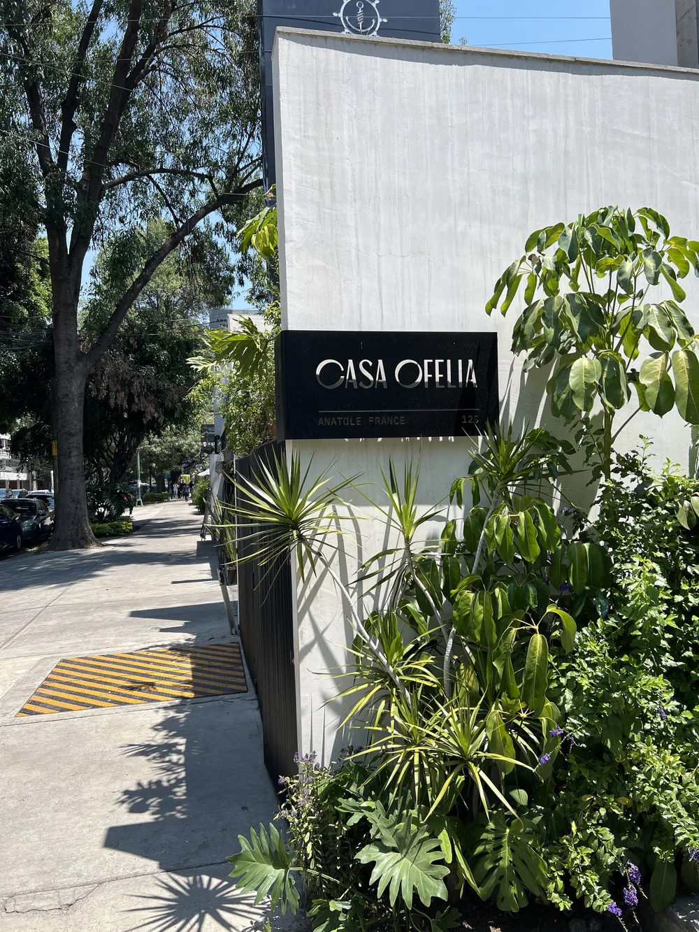 Casa Opehlia A new concept of Hospitality in the Heart of Polanco