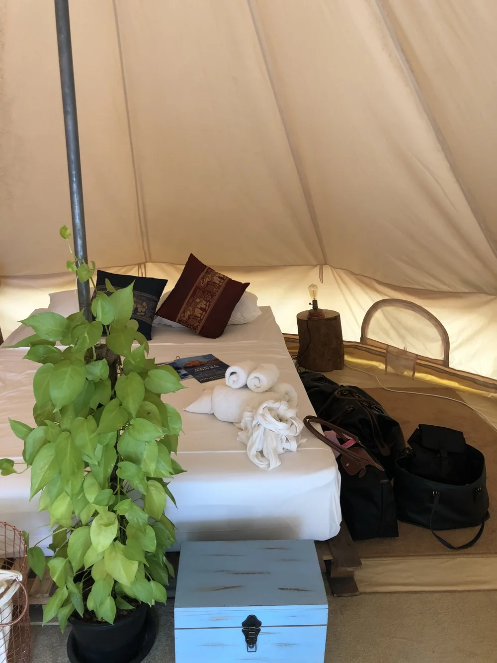 Rooms at Roost Glamping