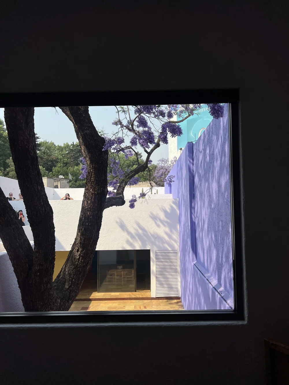 Mexico City Architecture Casa Gilardi