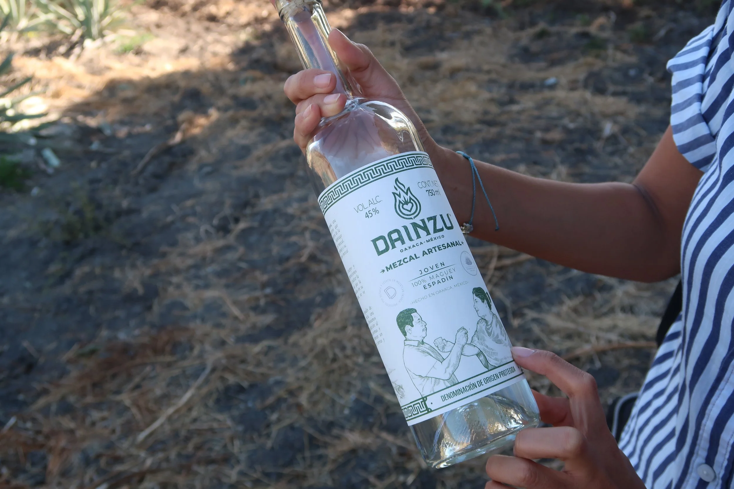 dainzu mezcal oaxaca 