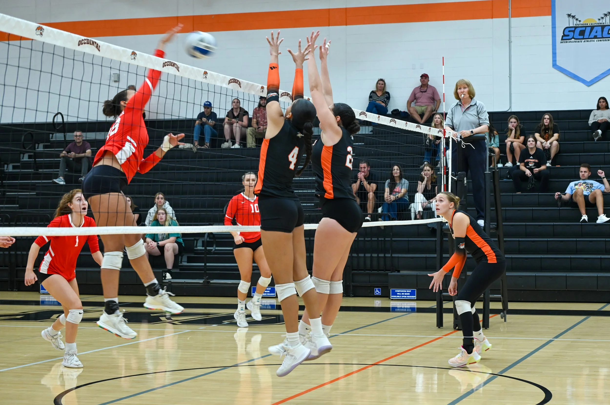 Goldberg_WVB.Edited-11.jpg
