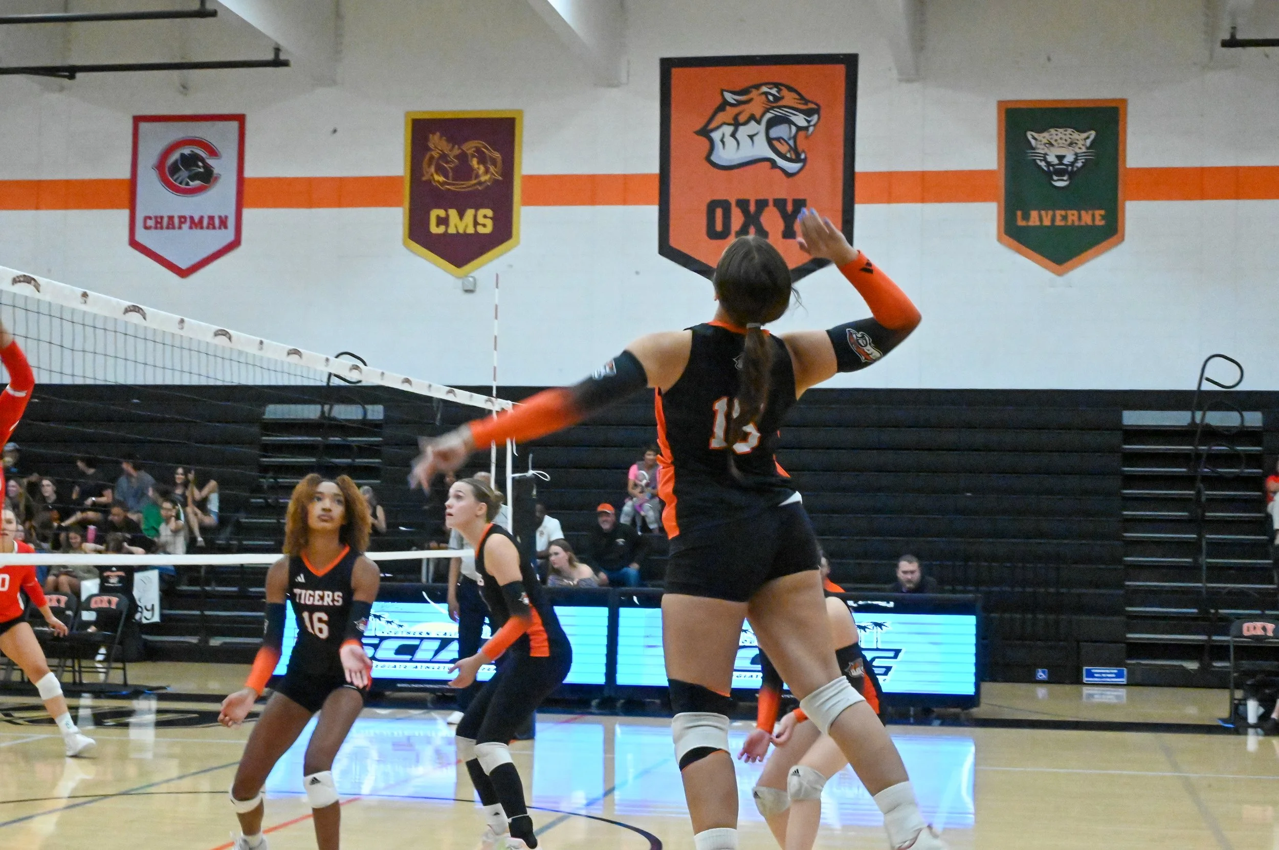 Goldberg_WVB.Edited-23.jpg