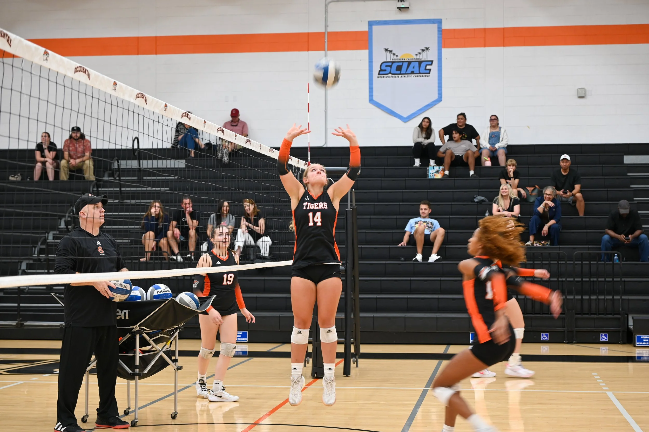 Goldberg_WVB.Edited-07.jpg