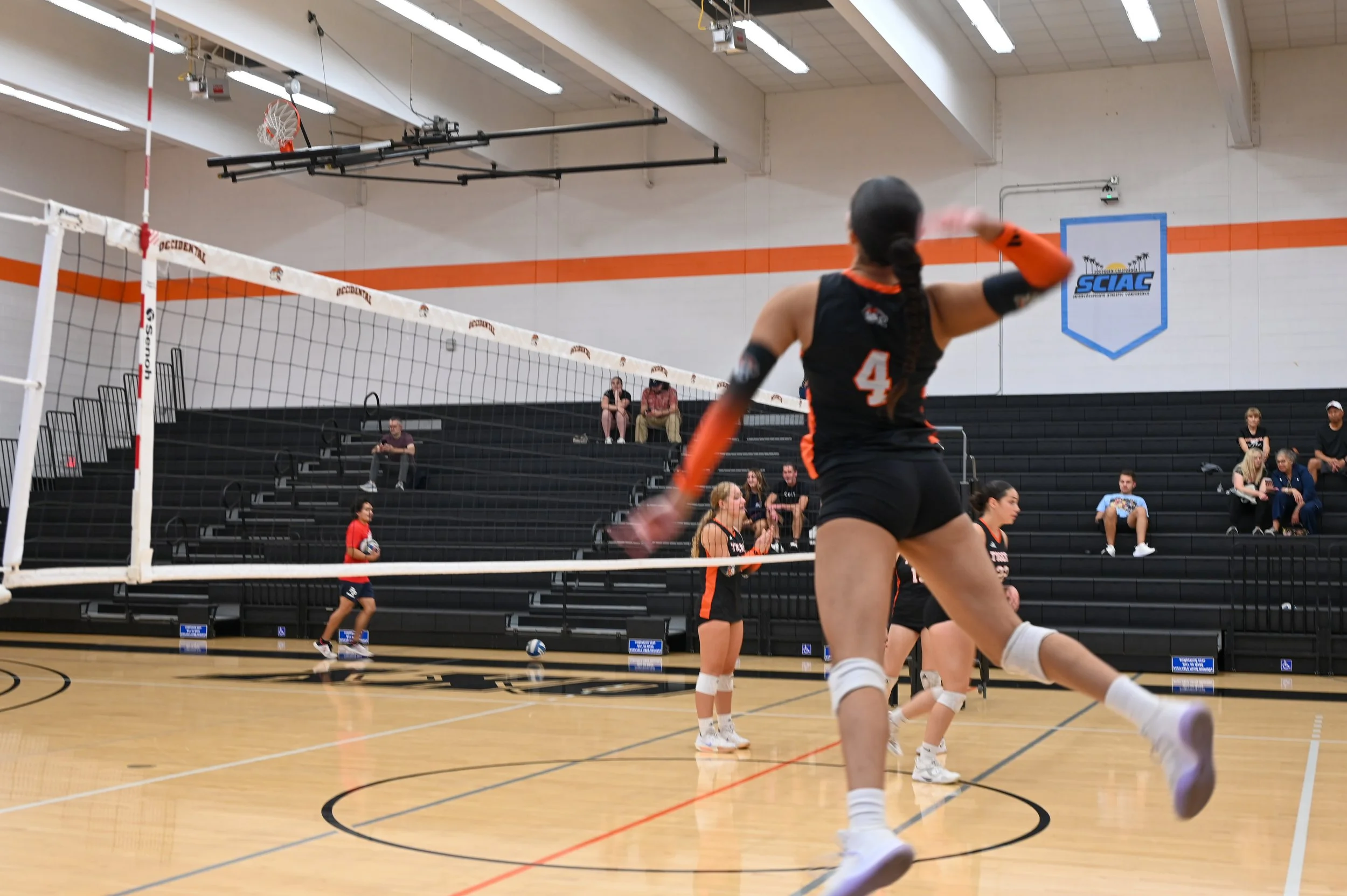Goldberg_WVB.Edited-03.jpg