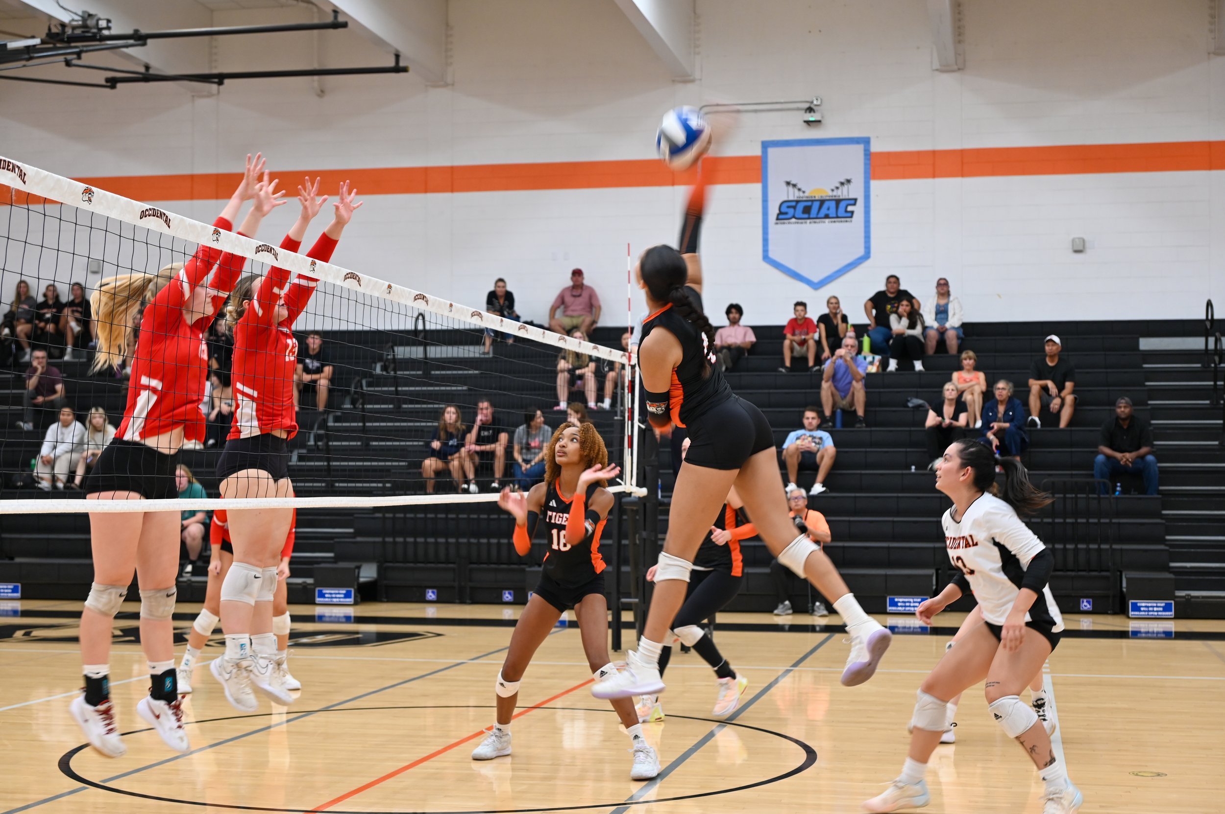 Goldberg_WVB.Edited-29.jpg