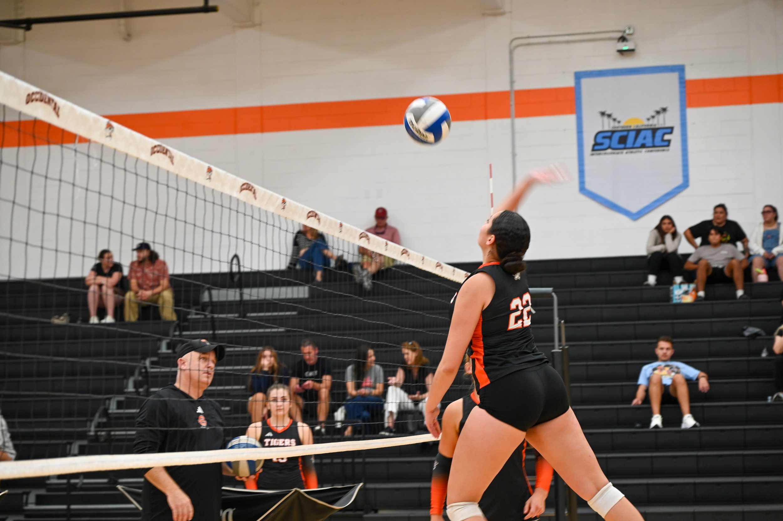 Goldberg_WVB.Edited-09.jpg