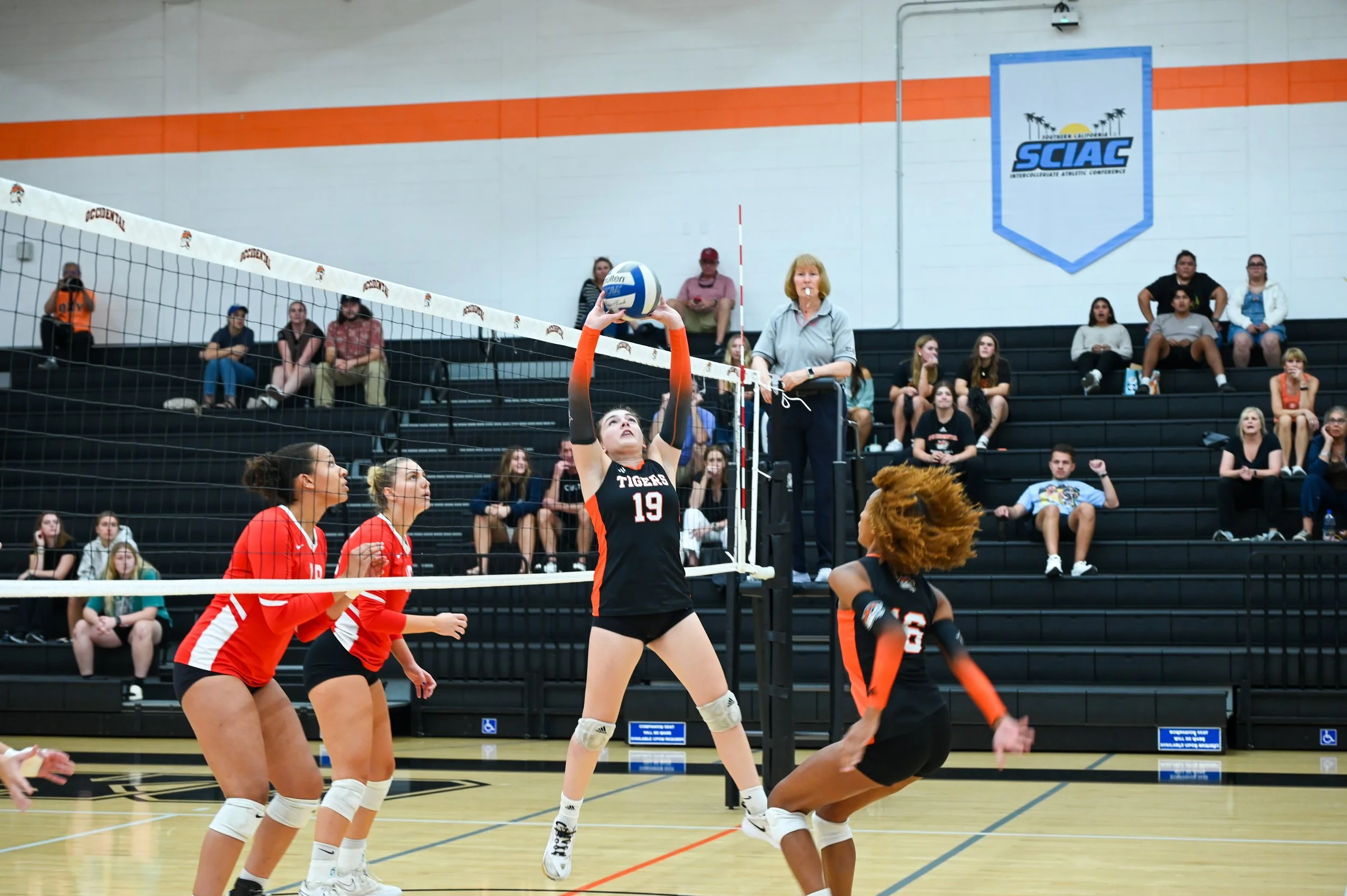Goldberg_WVB.Edited-15.jpg