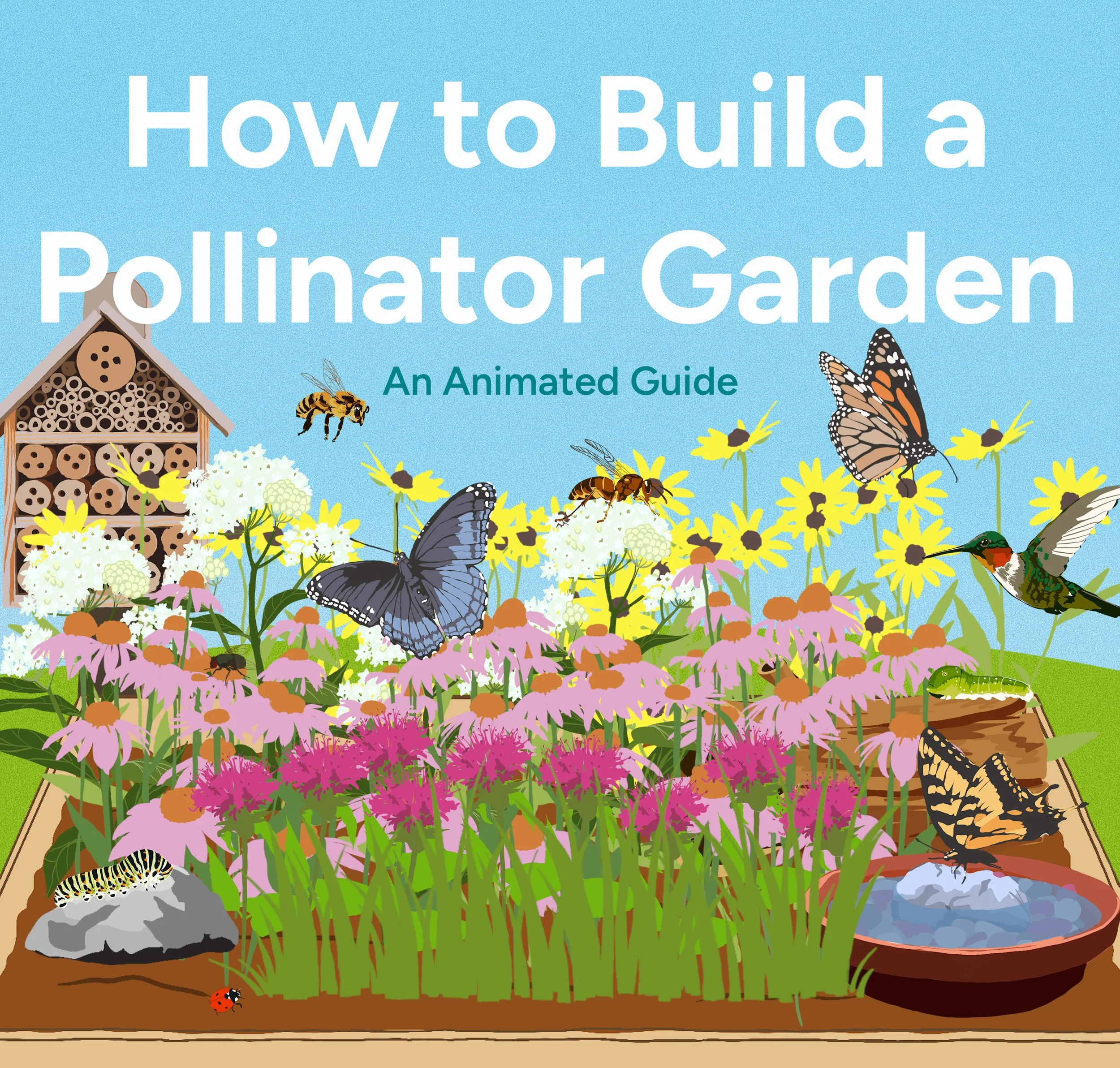 How to Build a Pollinator Garden