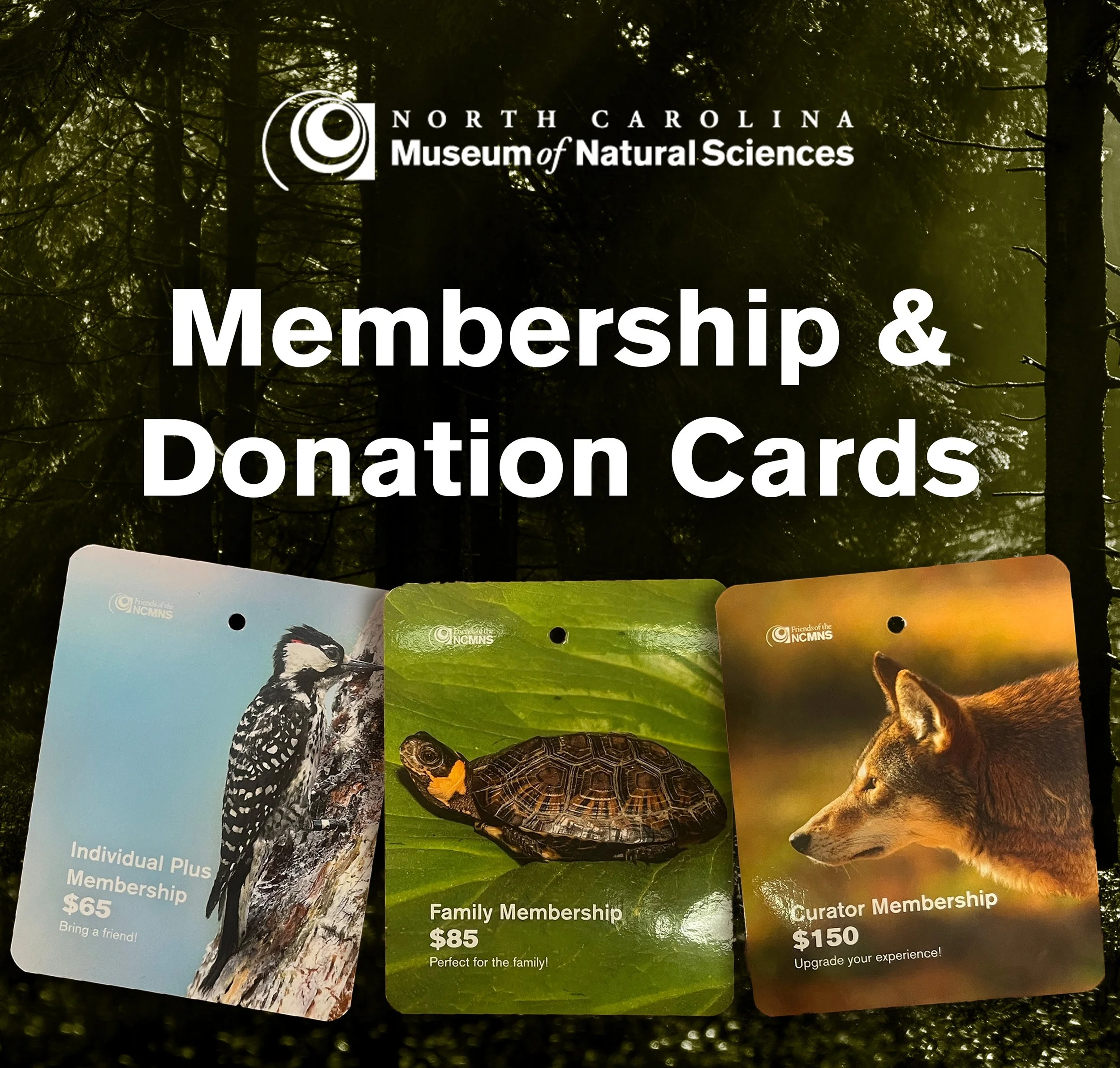 Membership & Donation Cards