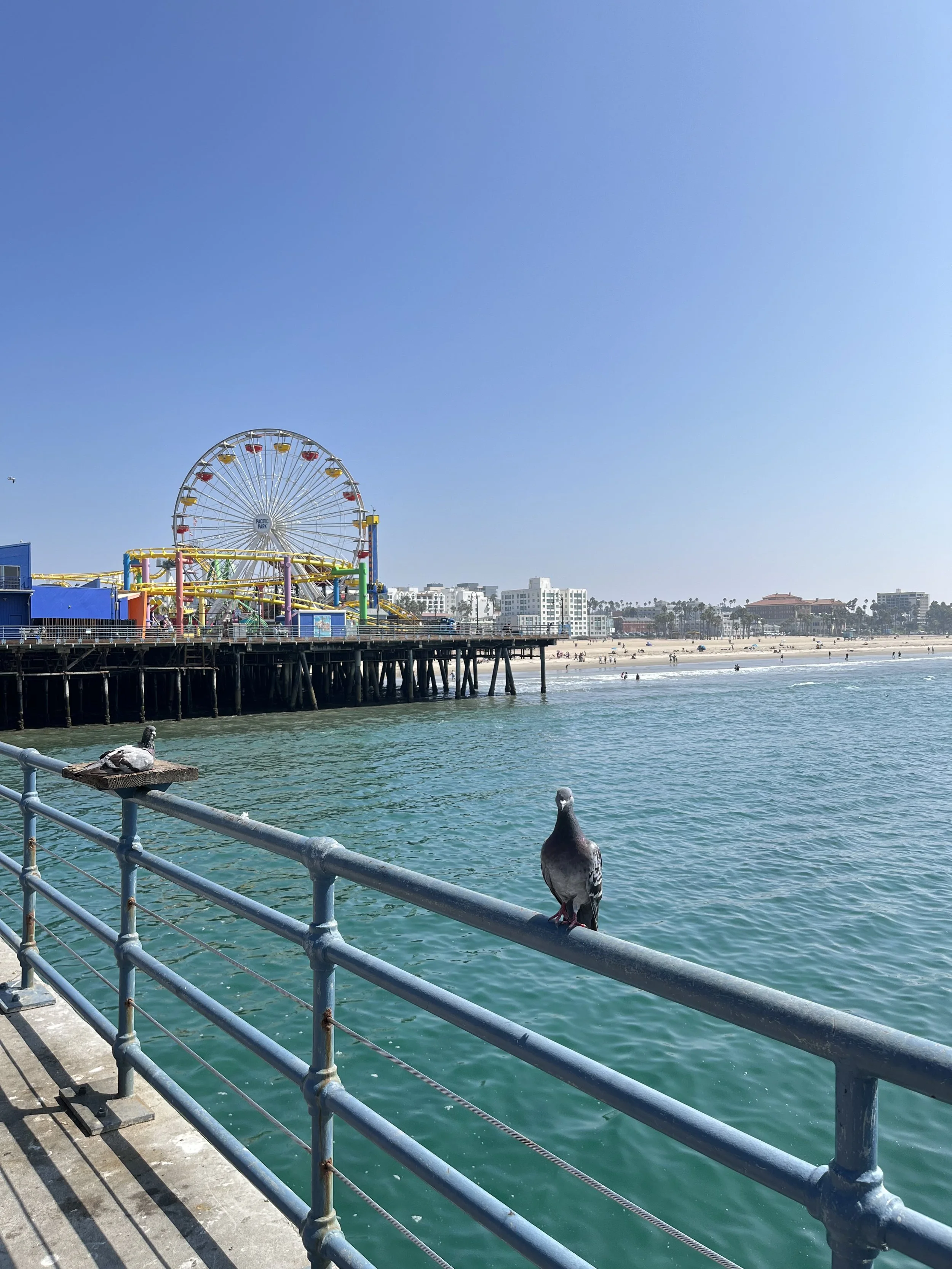 IMG_4097.jpg