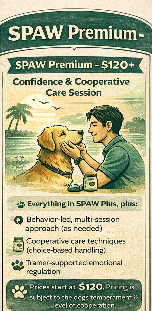 A promotional poster advertising SPAW Premium, a service priced at over $120, offering confidence and cooperative care sessions for dogs that include behavior-led approaches, cooperative care techniques, and emotionally supportive regulation, with an illustration of a man gently touching a dog's face near a pond and palm trees.