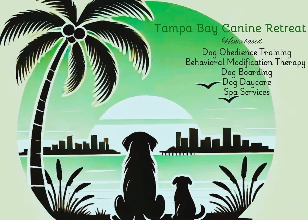 Dog Boarding Training in Tampa TB Canine Retreat