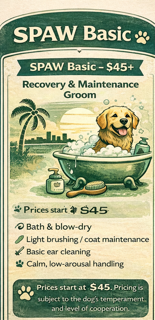 Flyer advertising SPAW Basic dog grooming service for $45, featuring a dog in a bath with grooming tools and a tropical background.