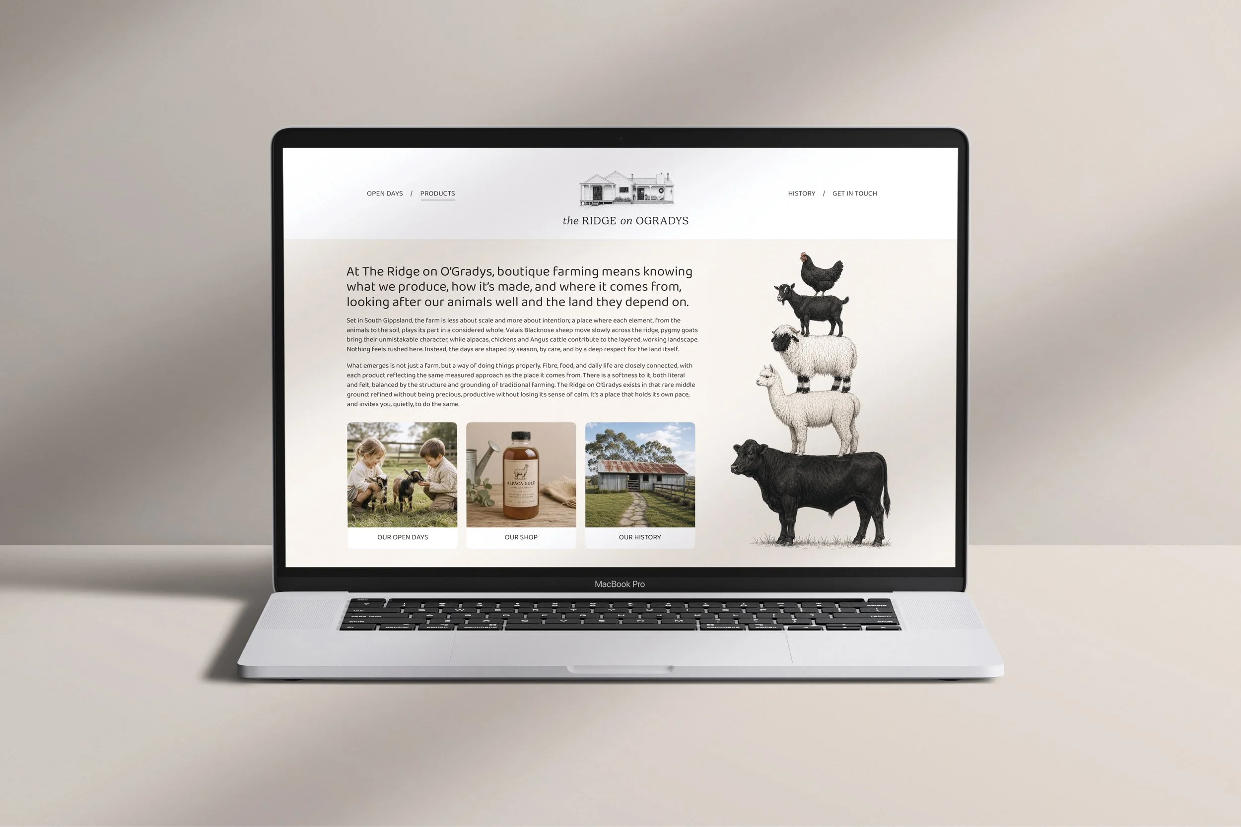 Agency Folk Video Slides - Culled_95.jpg