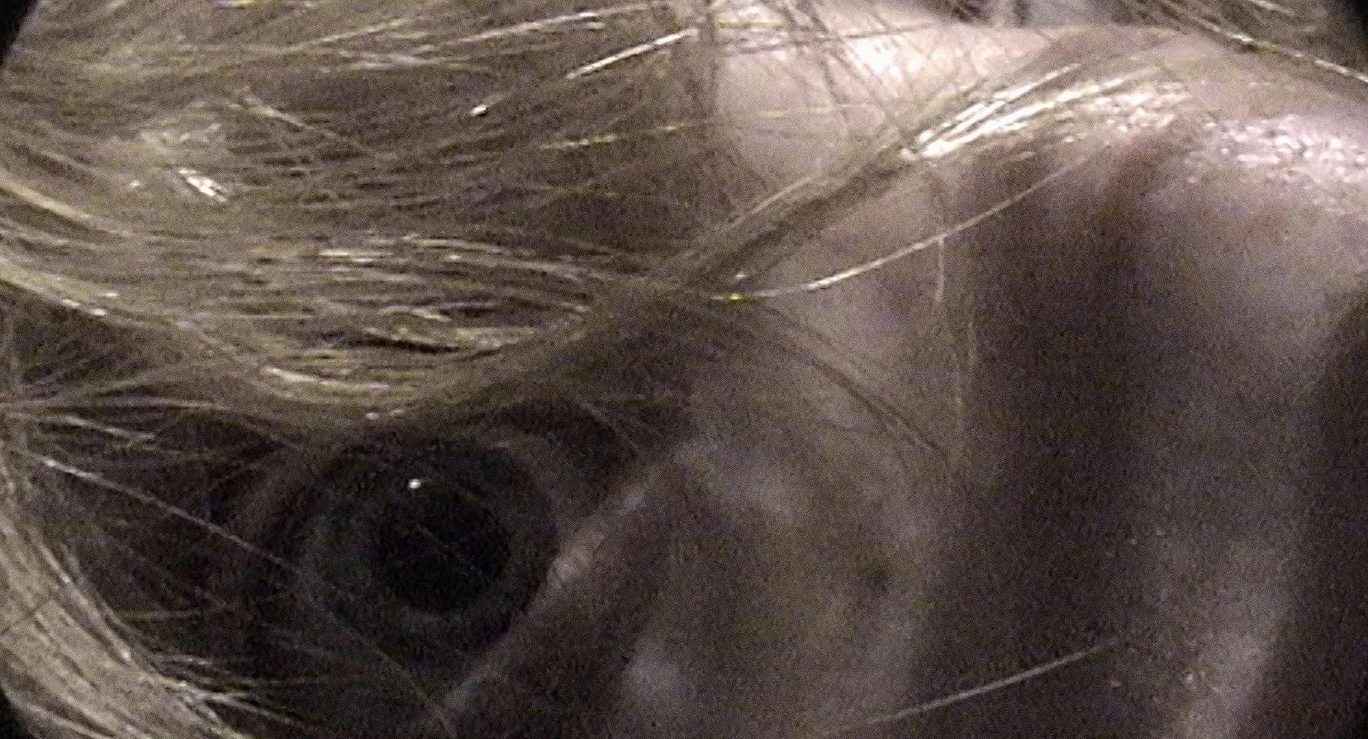Castration Movie Anthology ii - 2.jpg
