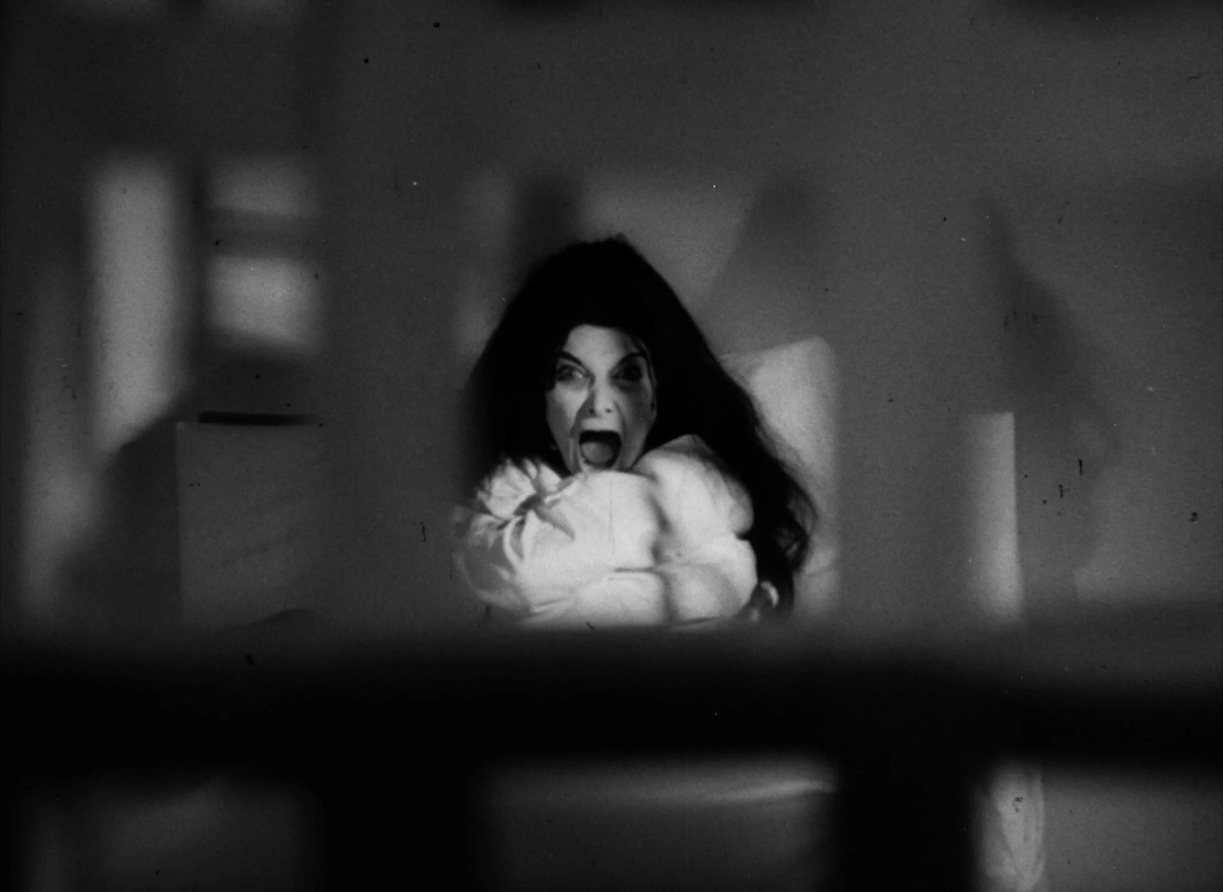 Confessions of a Psycho Cat - 7.jpg