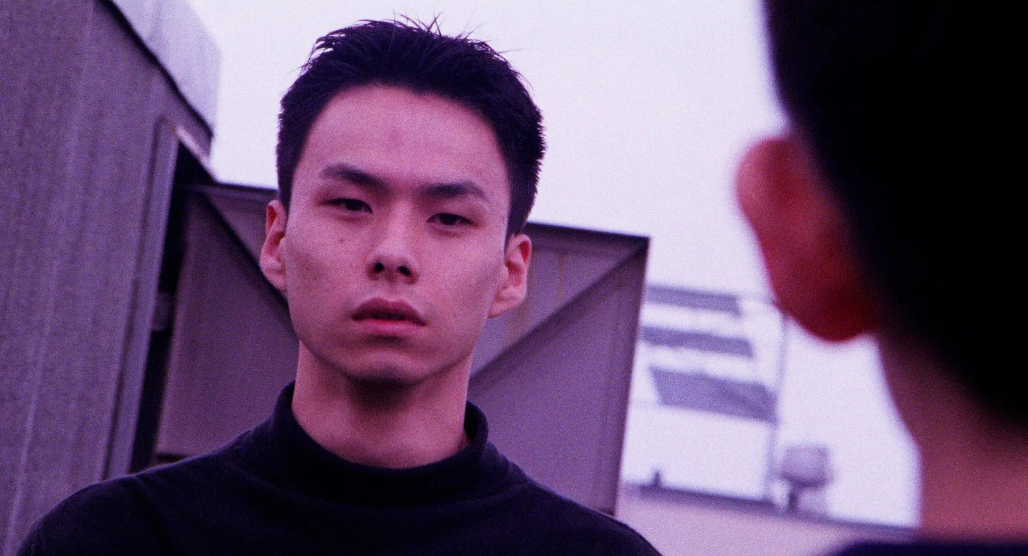 Turtle Vision - 7.jpg