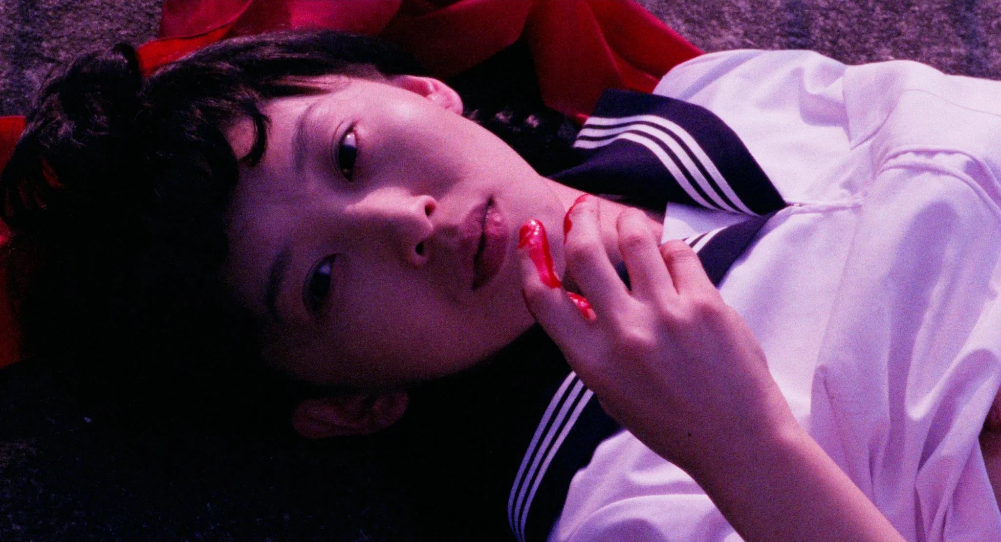 Turtle Vision - 8.jpg