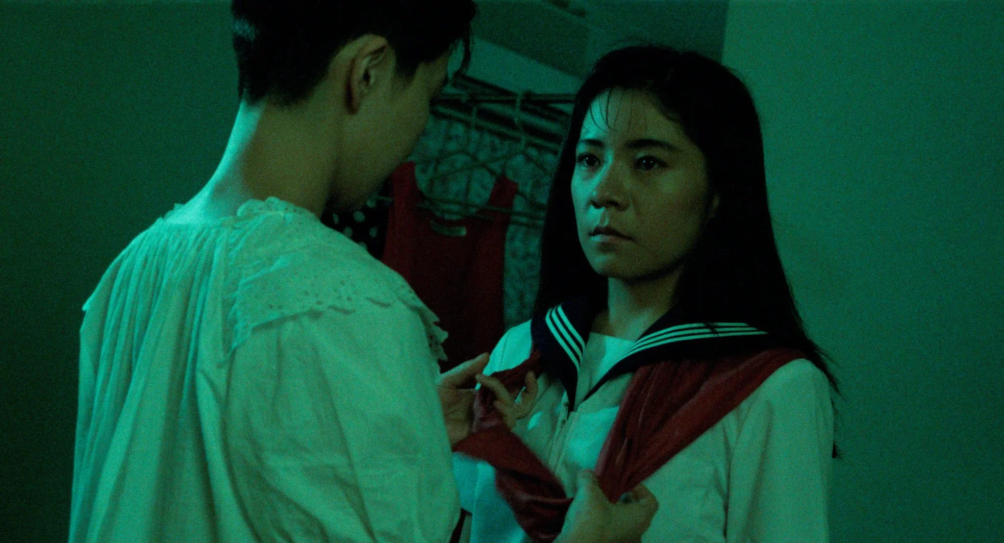 Turtle Vision - 4.jpg