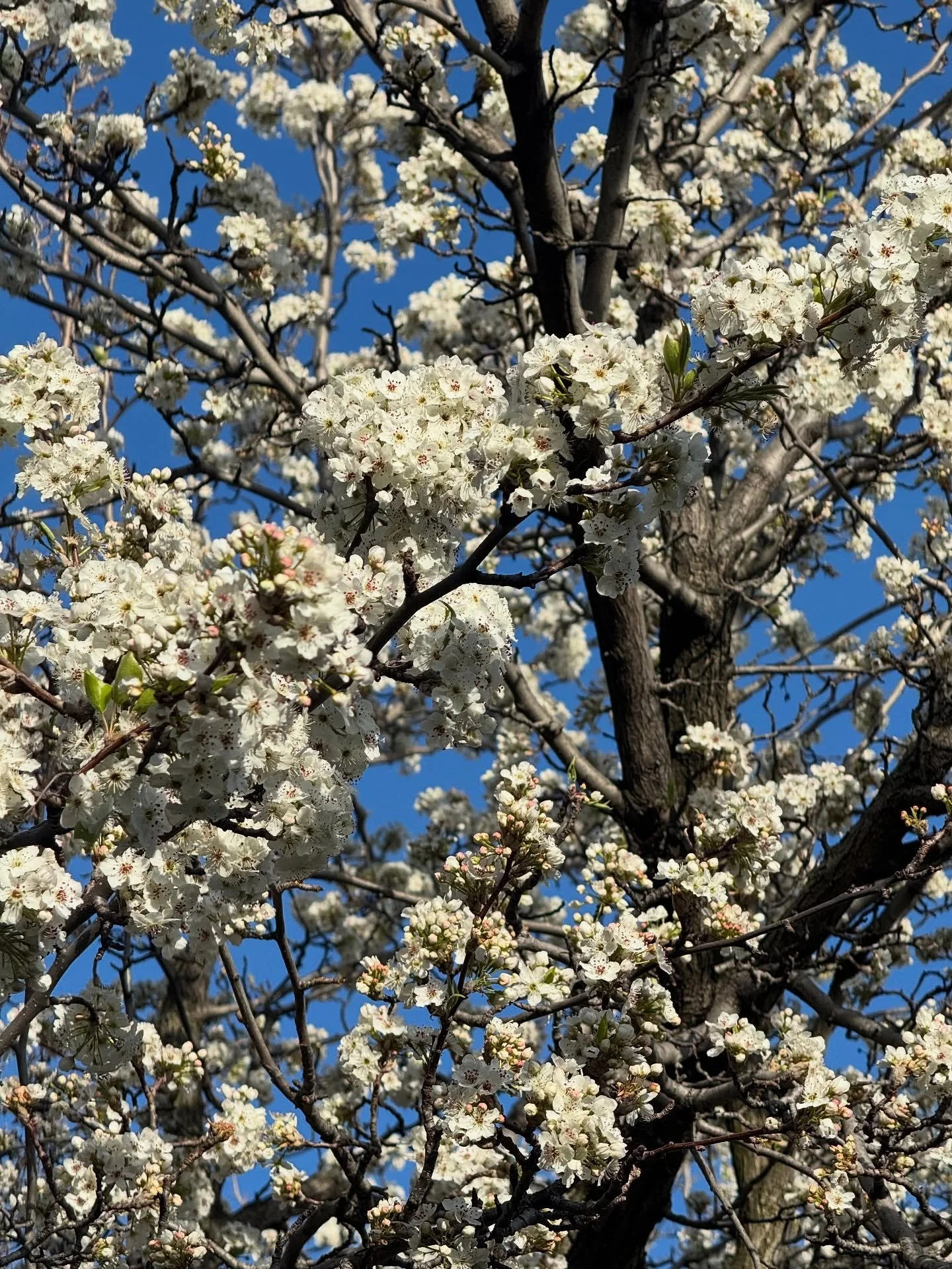 Life lately&hellip; ✌🏼

〰️ Good things are coming 
〰️ Yoga Teacher Training wrap up with @feebswills 
〰️ See you soon @slowlane_yoga
〰️ Winning with @dig__dug 
〰️ The gal-pals
〰️ Closing off a great year with @thenaturaldoctor_ 
〰️ My favourite spot