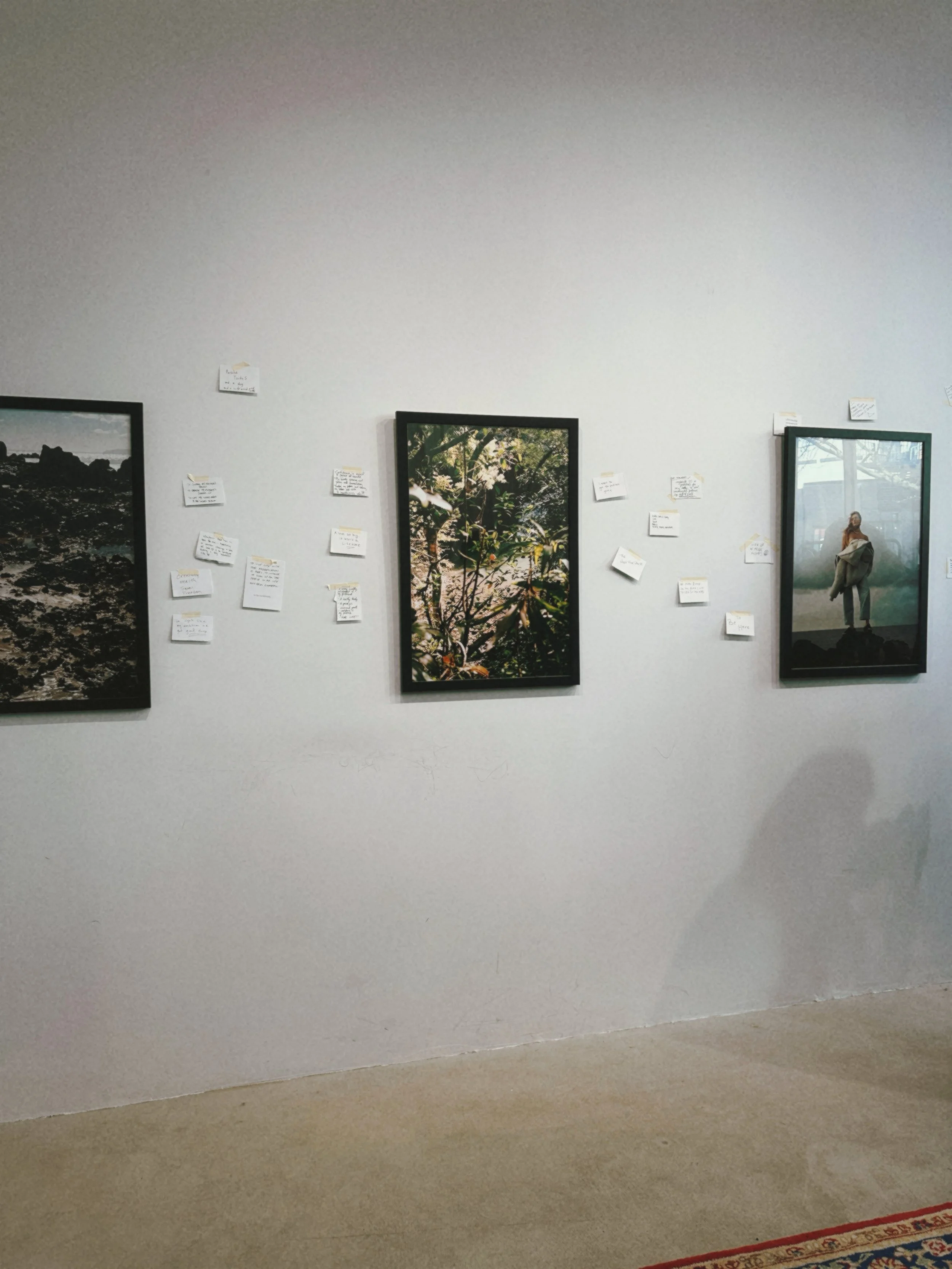 IMG_9119.JPG