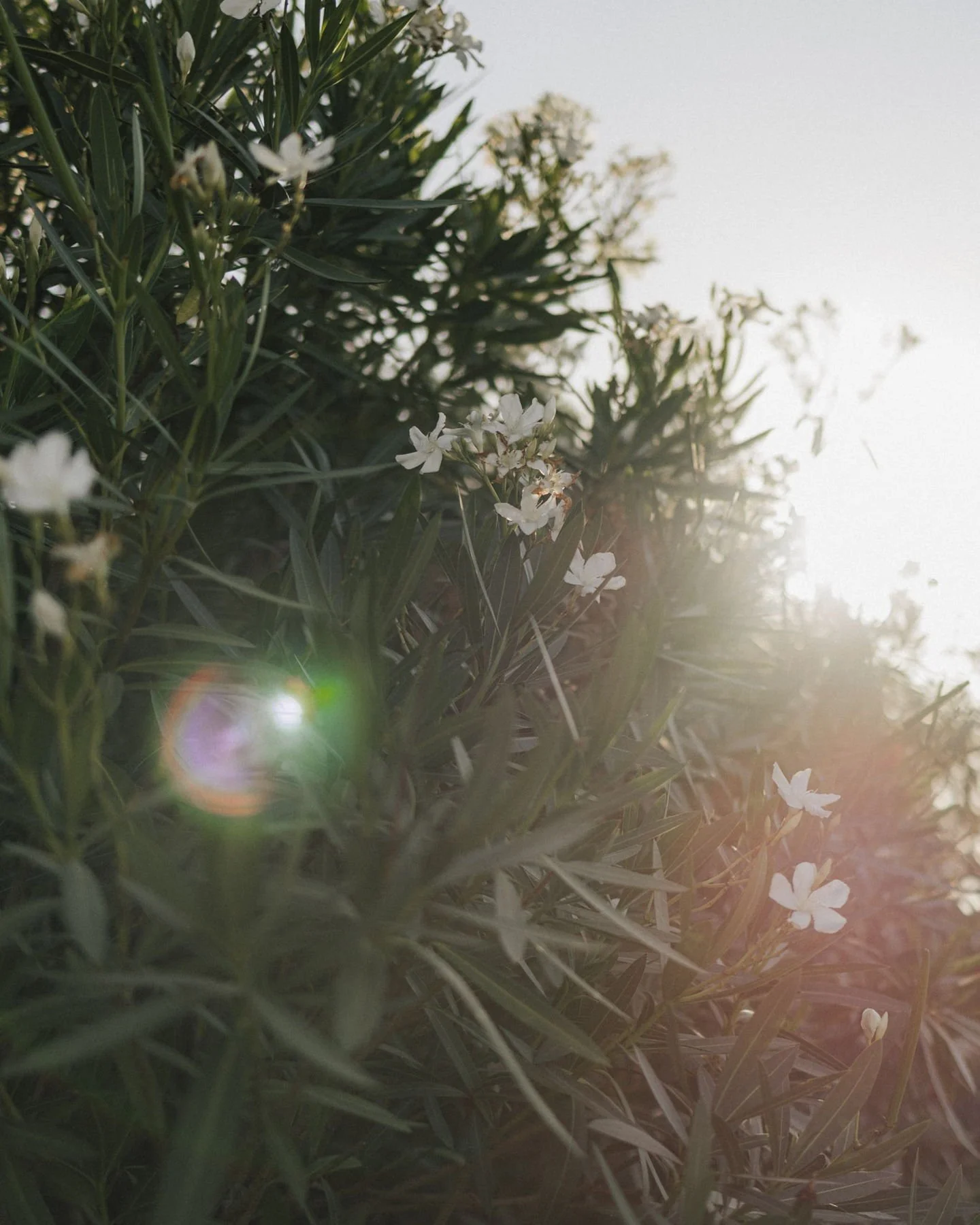 Es sind nicht nur die gro&szlig;en Momente, die einen Tag ausmachen.

Oft ist es genau das Licht, die Luft, die Umgebung &ndash; all das, was man vor Ort sp&uuml;rt und sp&auml;ter auf den Bildern wiederfindet.

Gerade bei Destination Weddings geh&ou