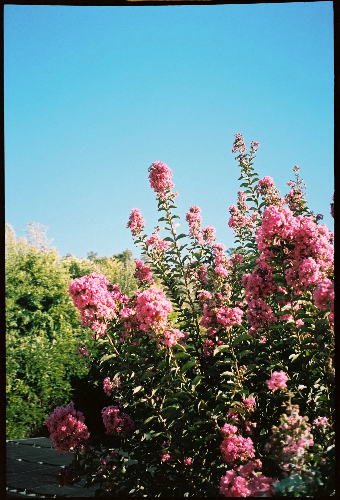 Michael Schartner Wedding Photography Hochzeitsfotograf-099.jpg