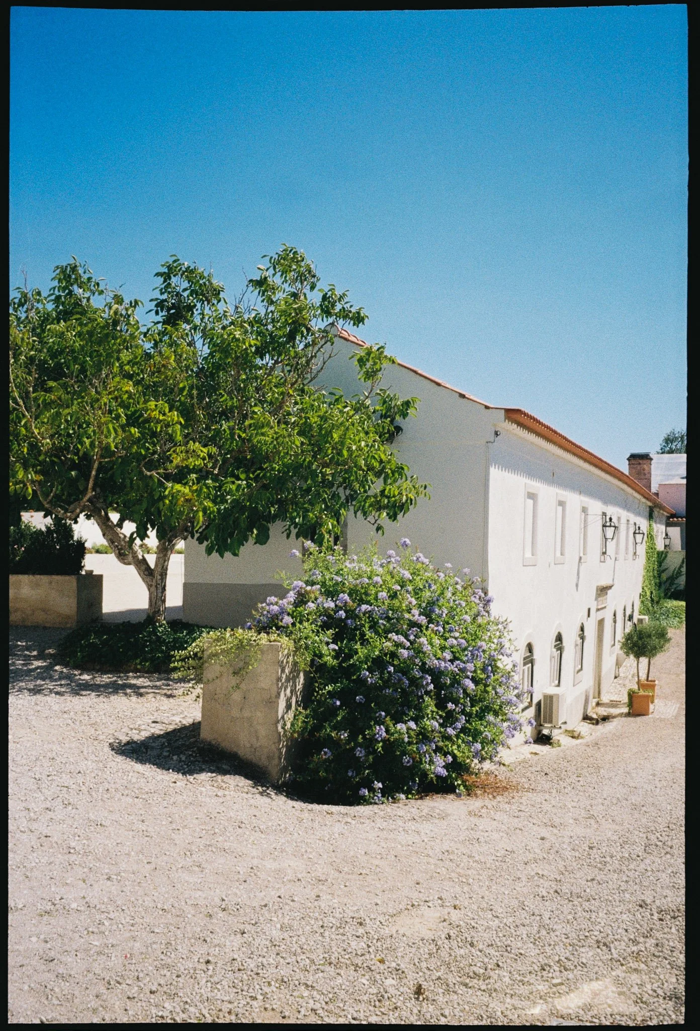 Michael Schartner Wedding Photography Hochzeitsfotograf-156.jpg