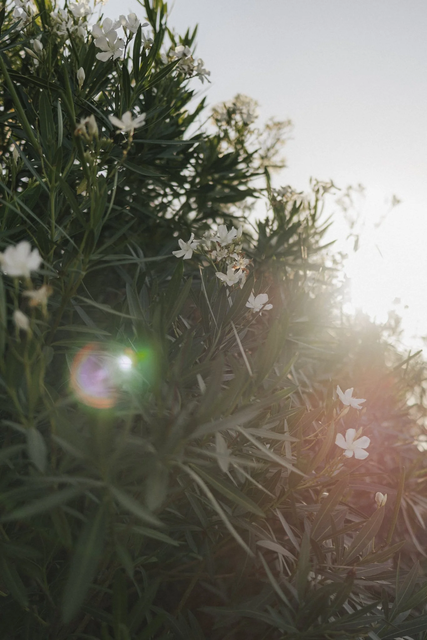 Michael Schartner Wedding Photography Hochzeitsfotograf-057.jpg