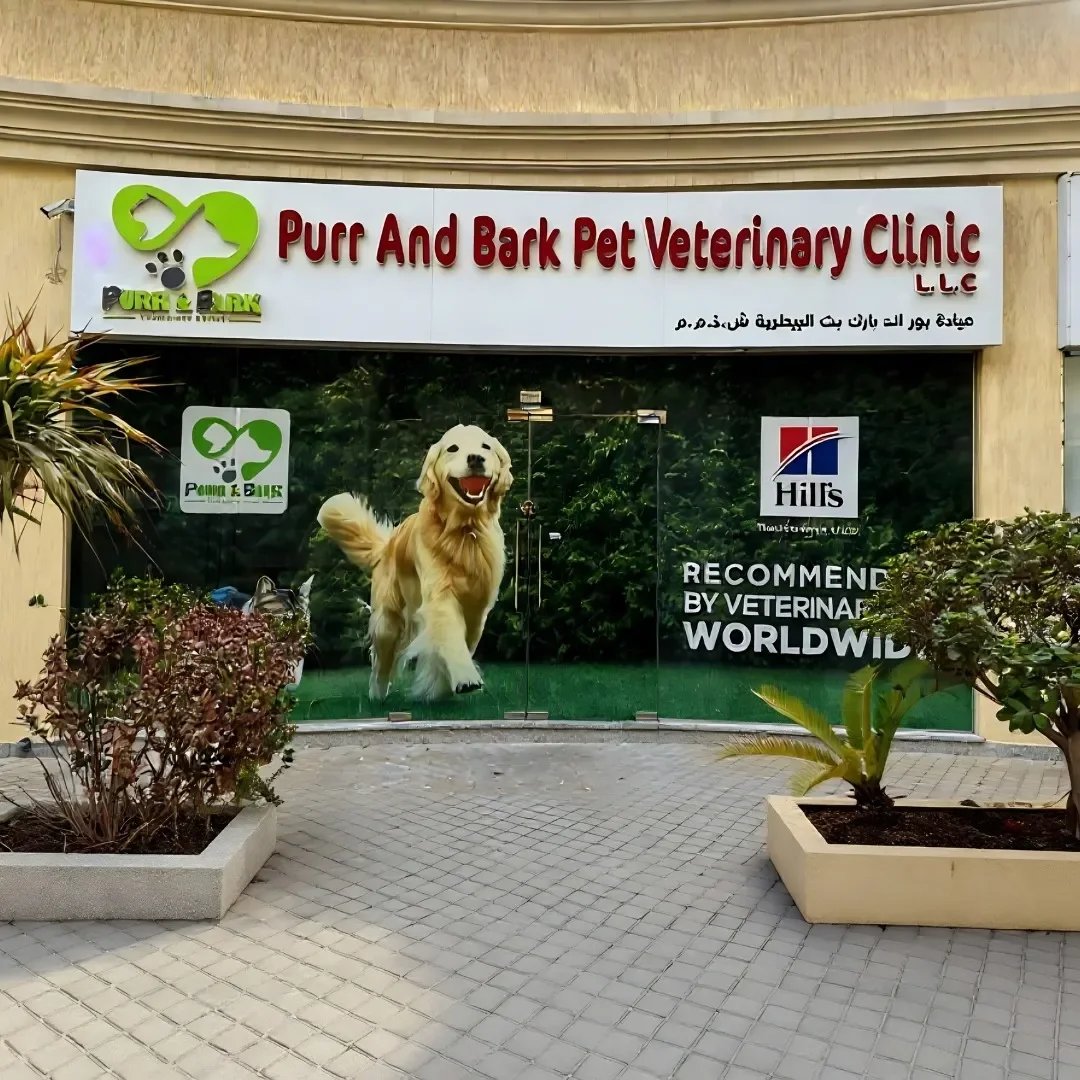 The storefront of Purr and Bark Pet Veterinary Clinic featuring a large glass window with a picture of a happy Golden Retriever dog, a logo with a green heart-shaped paw, and signage indicating veterinary recommendations worldwide. The building has a beige exterior and landscaped bushes with potted plants in front.