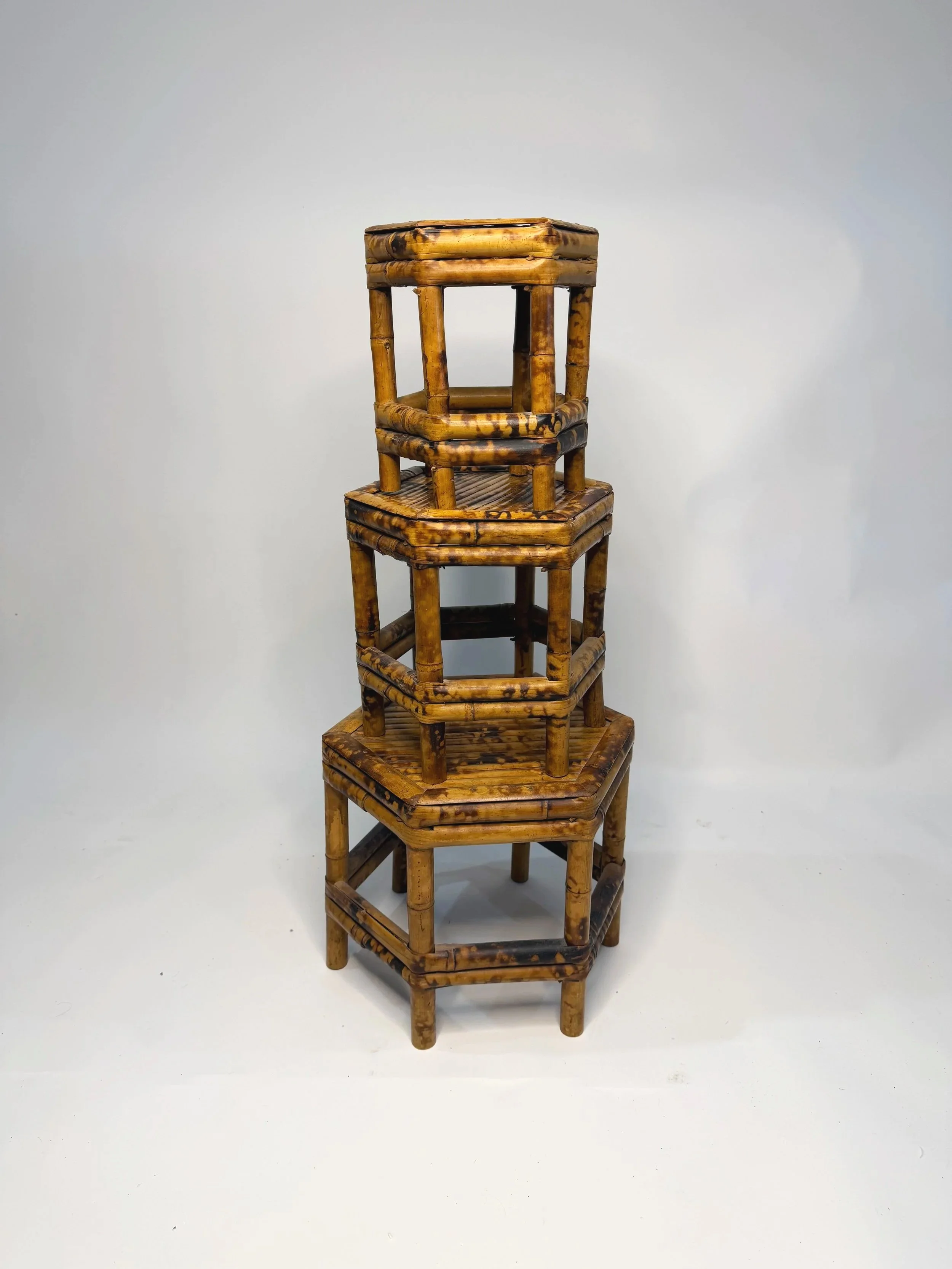 Vintage Burnt Bamboo Hexagonal Plant Stands Nesting Table Raisers (Set of 3)