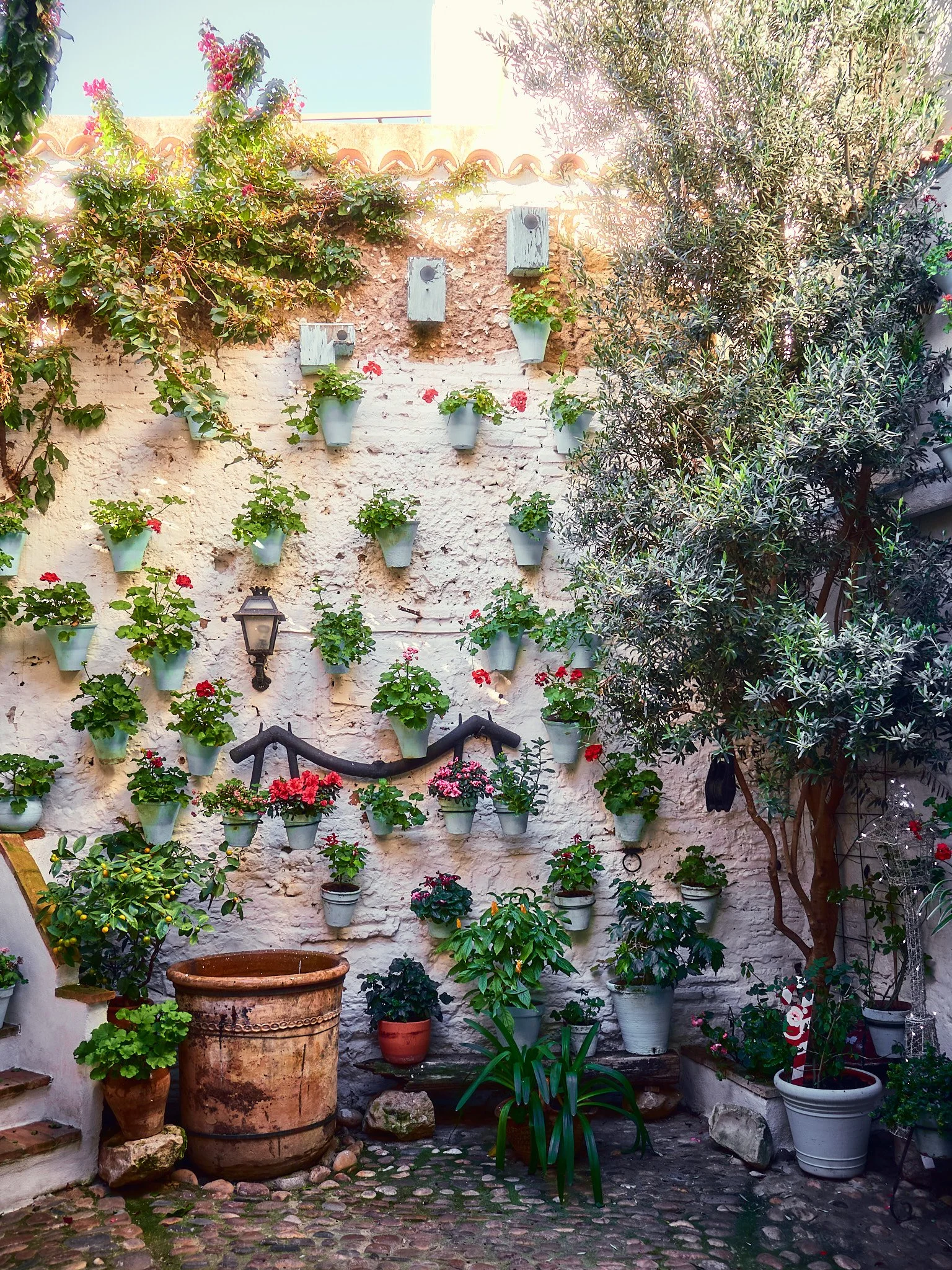 Jardín en una pared con muchas plantas en macetas blancas, algunos maceteros son decorativos y otros contienen flores de colores. Hay una lámpara antigua en la pared y un muro de piedra. La zona tiene piso de adoquines.