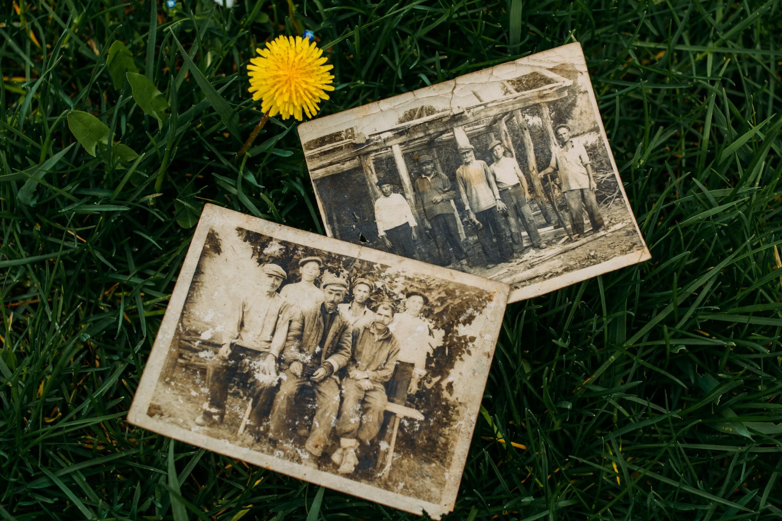 Cómo restaurar fotos antiguas con Inteligencia Artificial (2026)