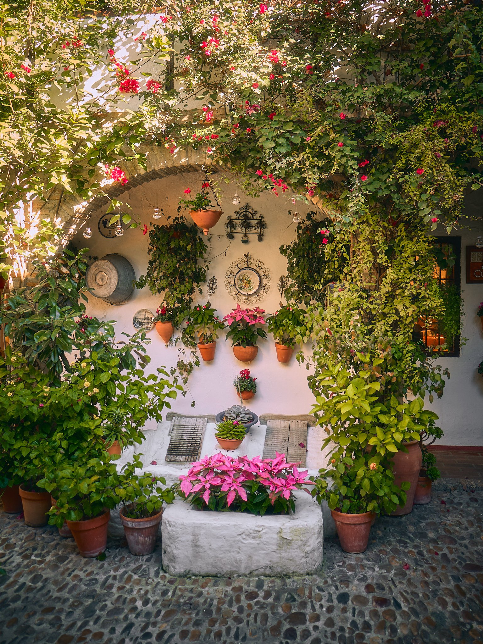 Un pequeño patio decorado con plantas y flores, con paredes blancas, cojines en un banco de piedra, y decoraciones de hierro y cerámica en la pared bajo un arco cubierto de enredaderas con flores rosas.