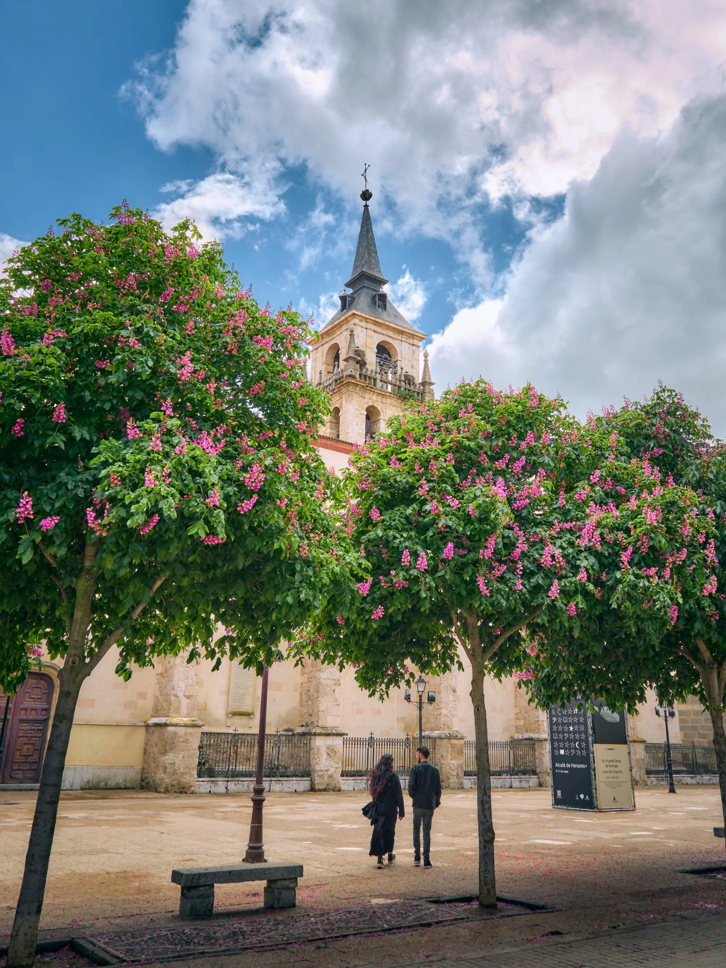 Una plaza con árboles de flores rosas, dos personas caminando y un edificio antiguo con campanario y techo puntiagudo bajo un cielo con nubes.