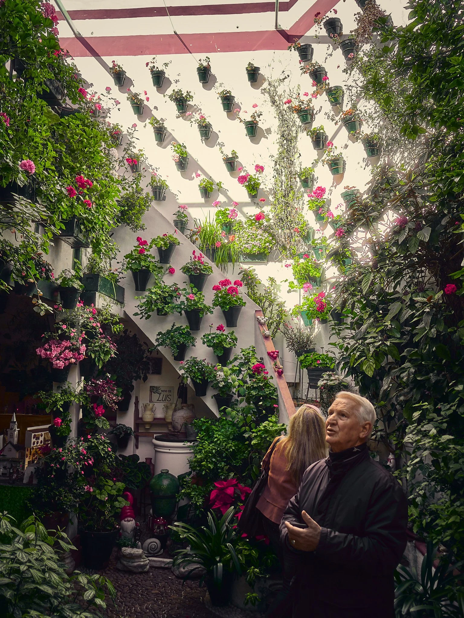 Hombre mayor en un jardín cubierto de plantas y flores, con paredes decoradas y macetas colgadas.
