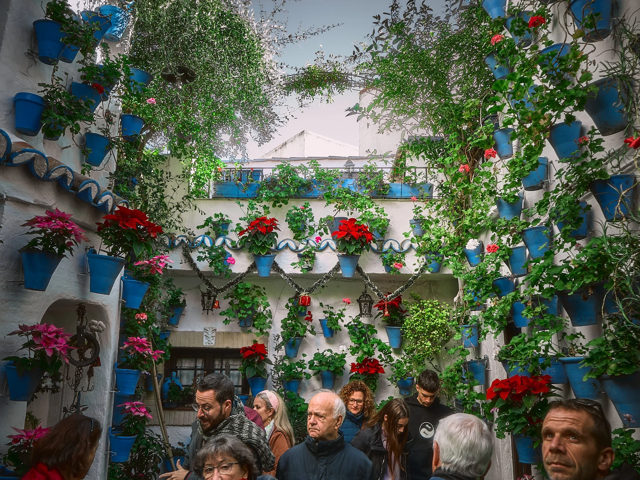 Un grupo de personas en un patio decorado con muchas macetas azules llenas de flores rojas, rosas y verdes en las paredes y en la parte superior. La atmósfera parece ser una reunión o evento social.