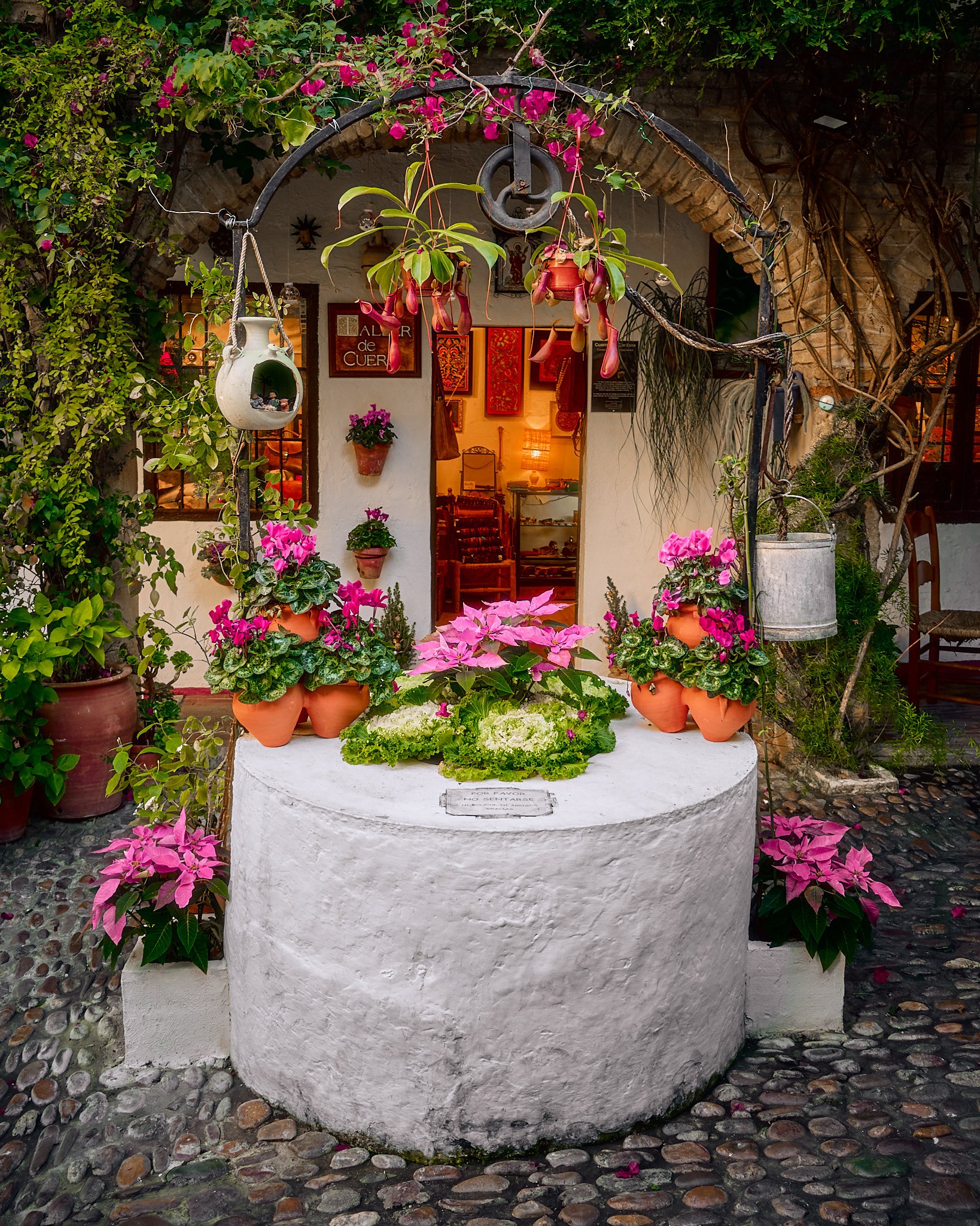Puerta de entrada adornada con plantas y flores rosas, en un entorno de estilo rústico con paredes blancas y detalles de ladrillo, luces cálidas y decoración vintage en el interior.