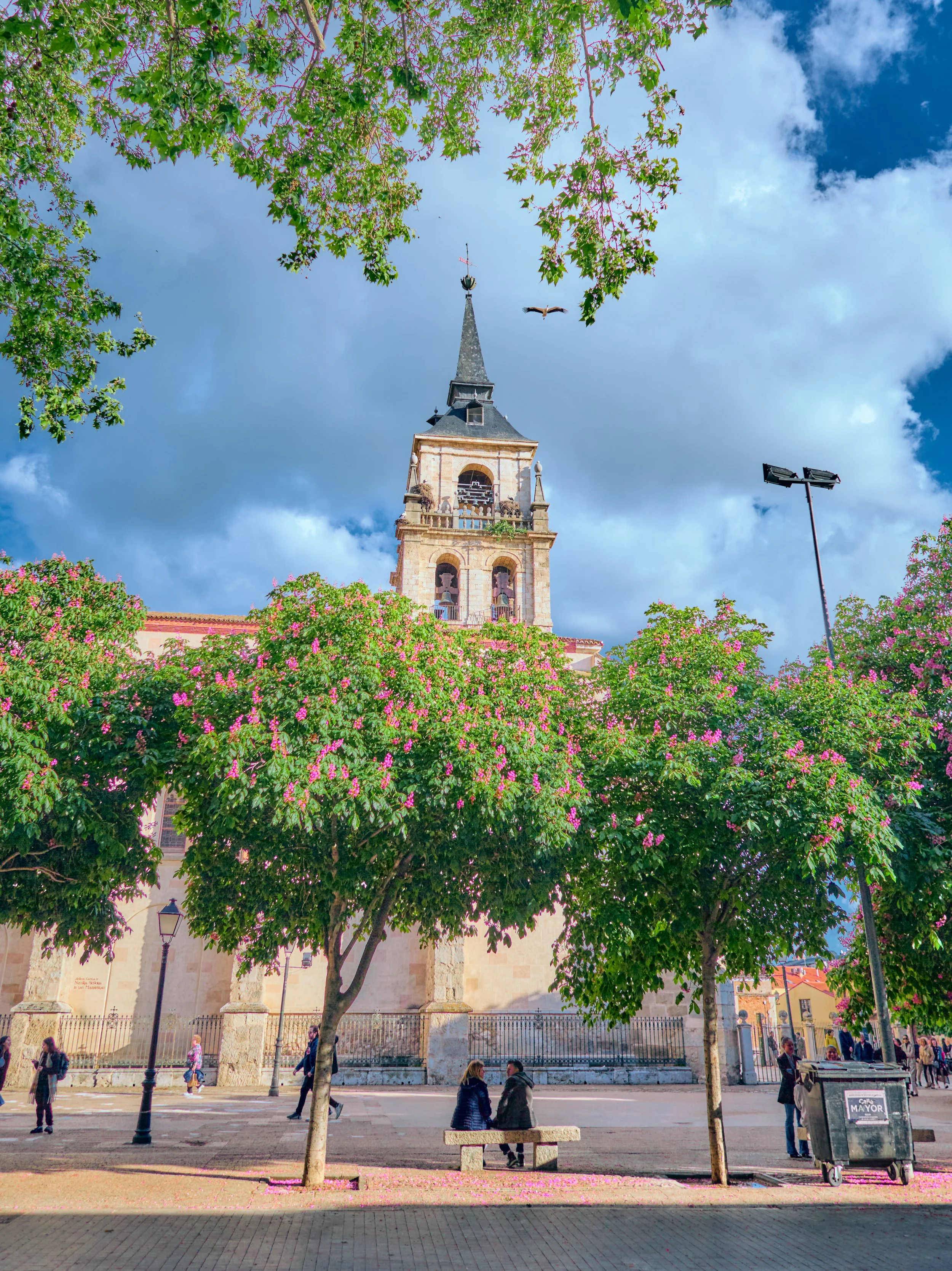 Una plaza con árboles con flores rosadas y un banco donde una pareja está sentada, con un antiguo edificio en el fondo y un cielo con nubes y un ave volando.