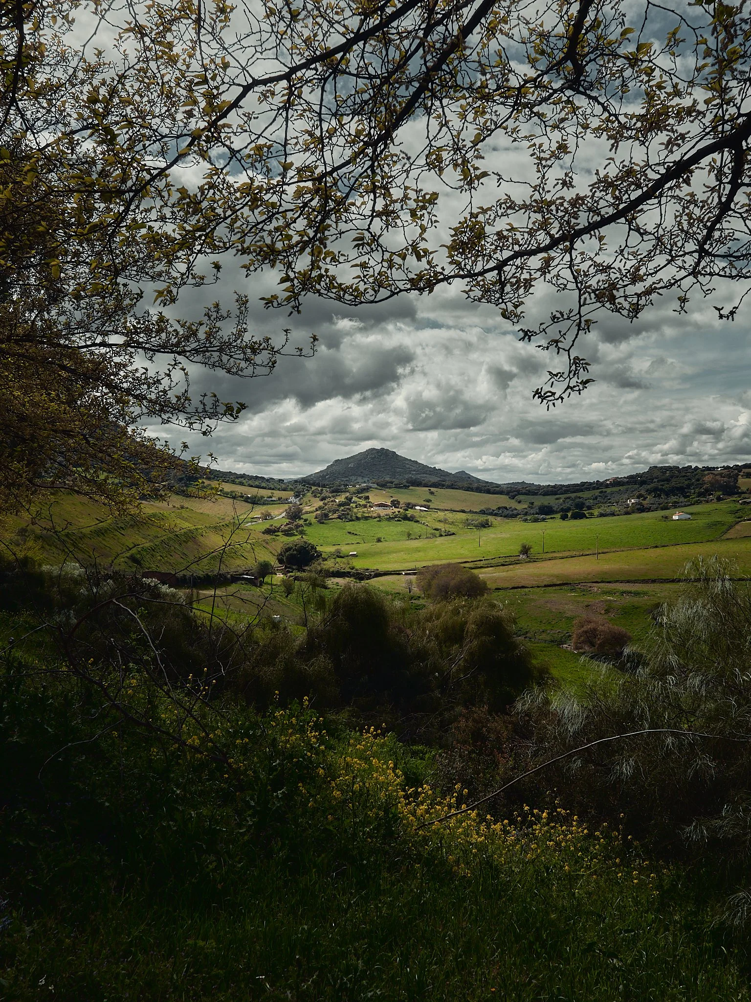 Paisaje con colinas verdes, árboles y un cielo nublado.