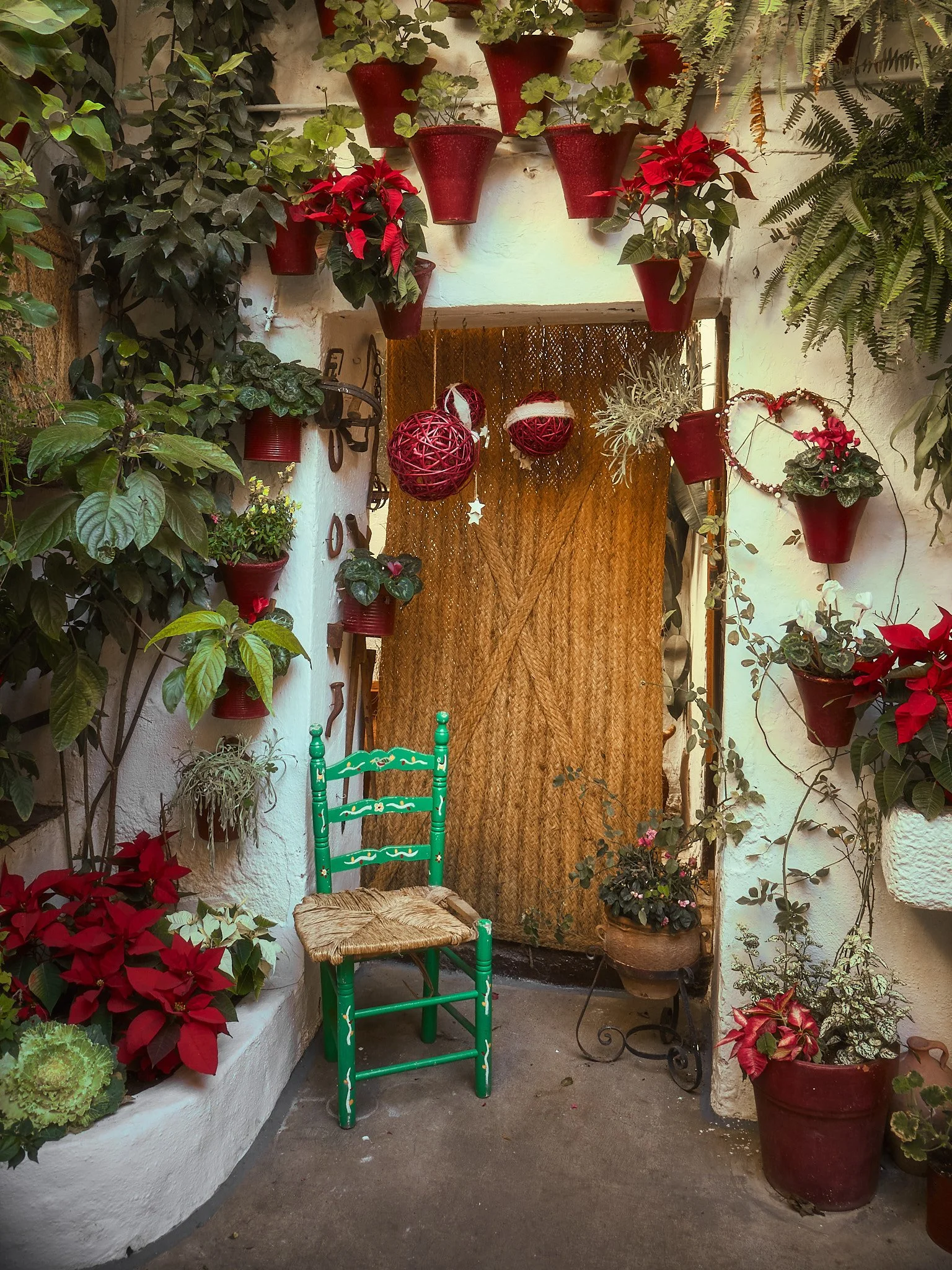 Entrada decorada con plantas en macetas rojas, un silla verde y adornos navideños