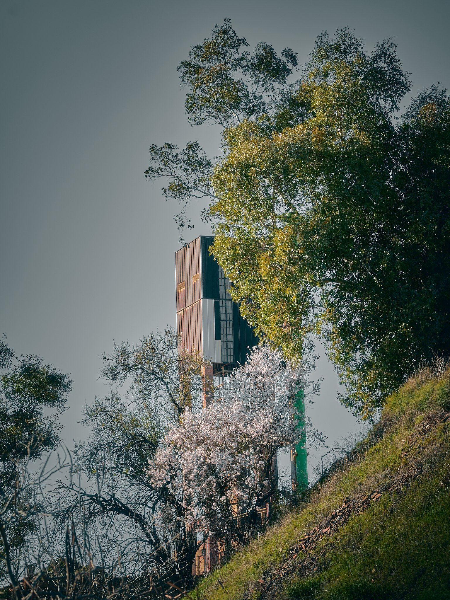 Edificio en medio de árboles con hojas verdes y flor de cerezo en flor, en una pendiente con césped.