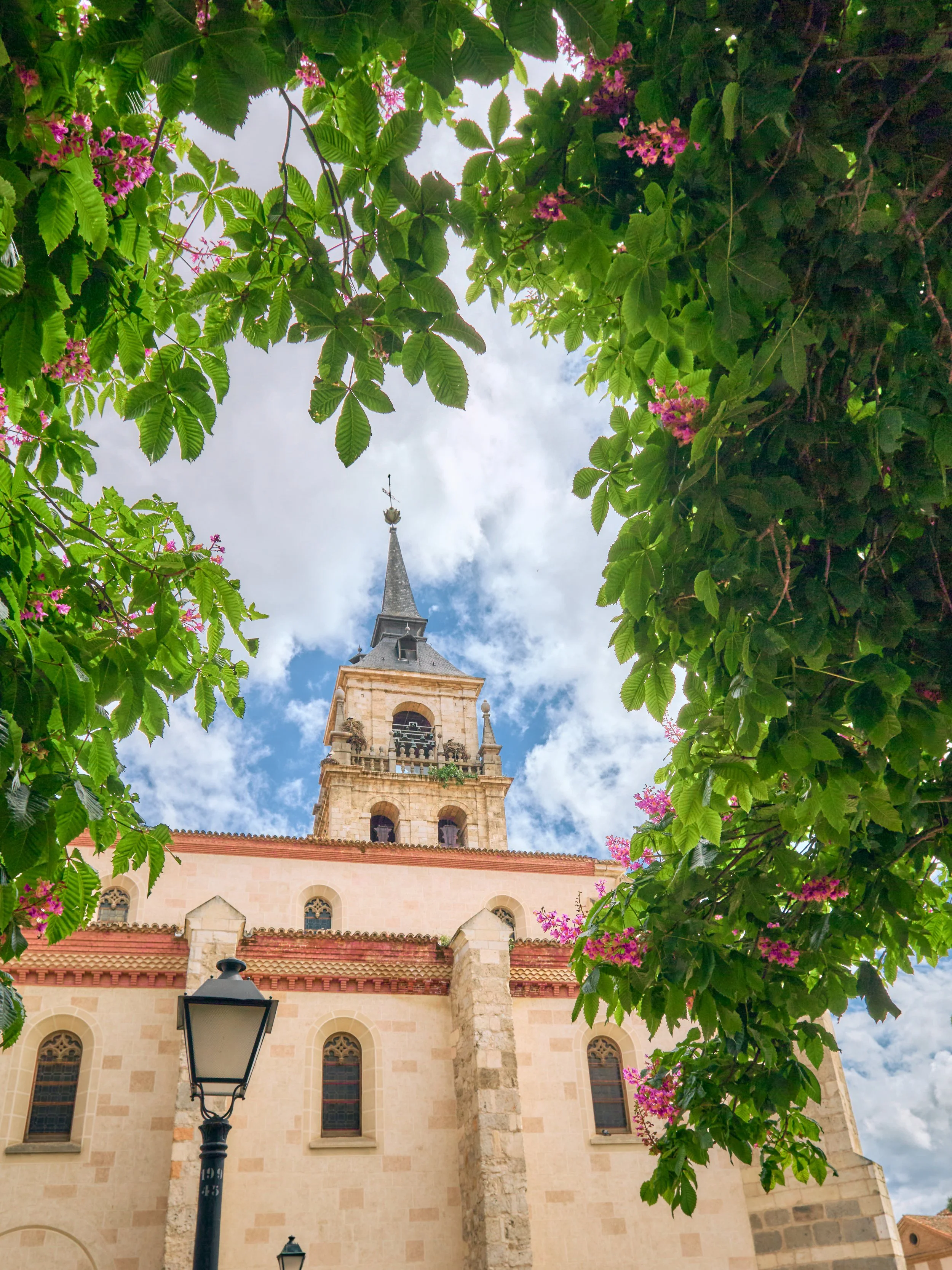 Vista de una iglesia con campanario, rodeada de árboles con hojas verdes y flores rosadas, bajo un cielo parcialmente nublado.