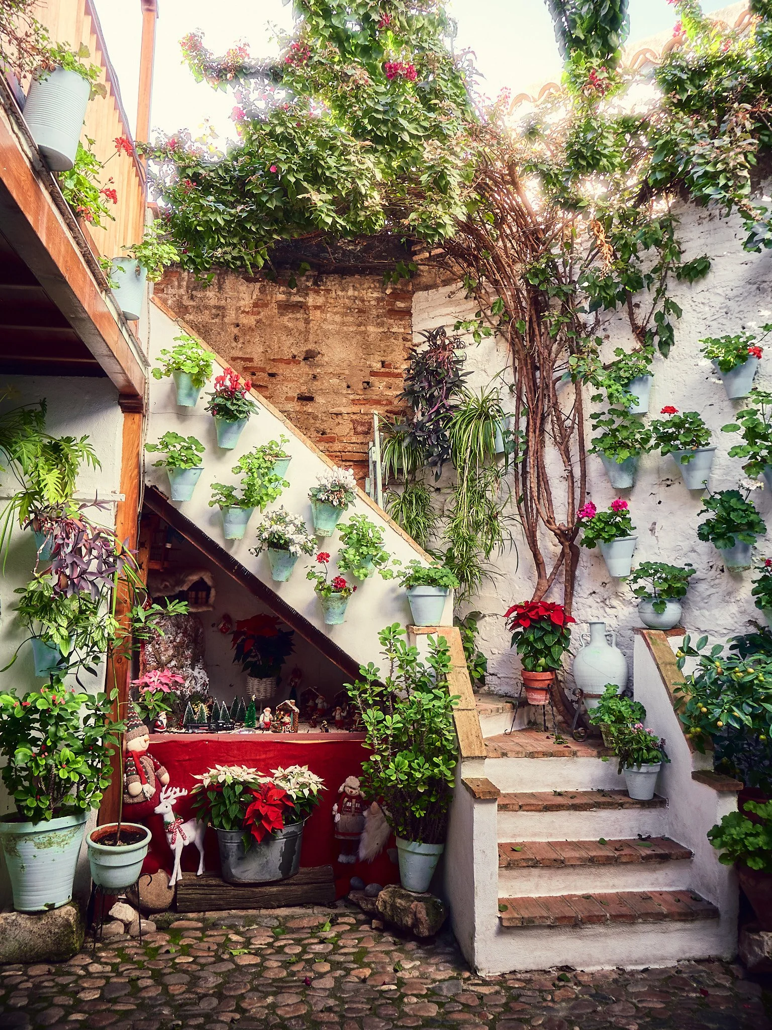 Un patio con paredes blancas decoradas con macetas llenas de flores y plantas, con escaleras de ladrillo y una variedad de plantas y adornos navideños.