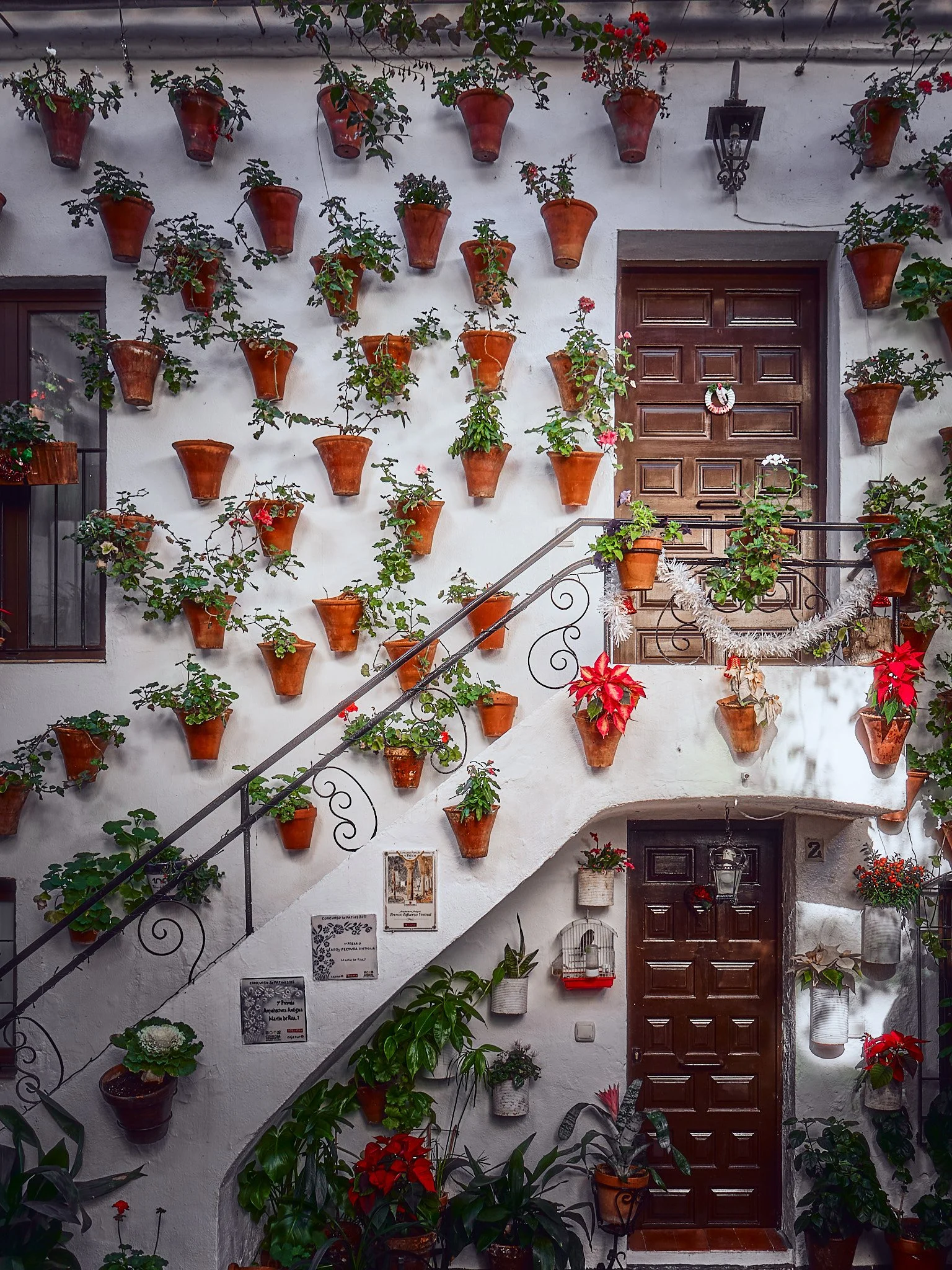 Escalera decorada con plantas en macetas de barro, puertas de madera, y adornos navideños en una casa con paredes blancas.