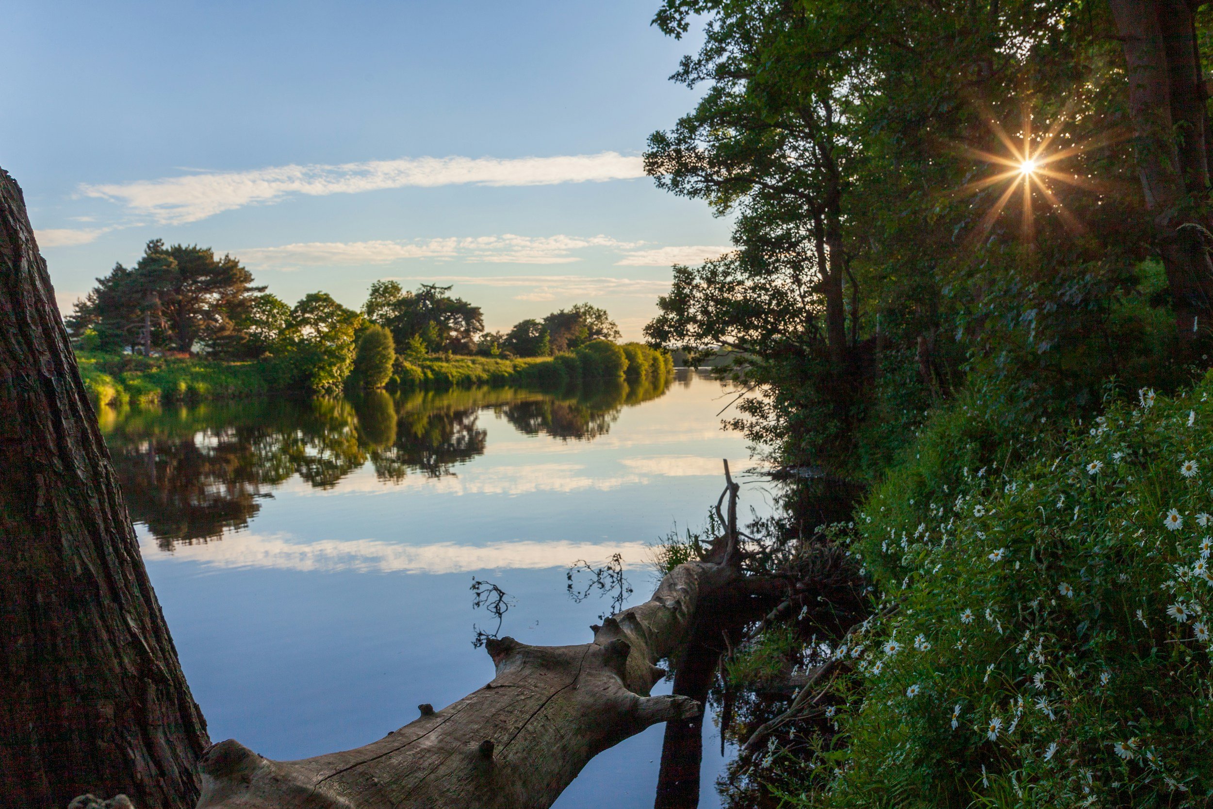Calm river reflecting trees on a summer evening