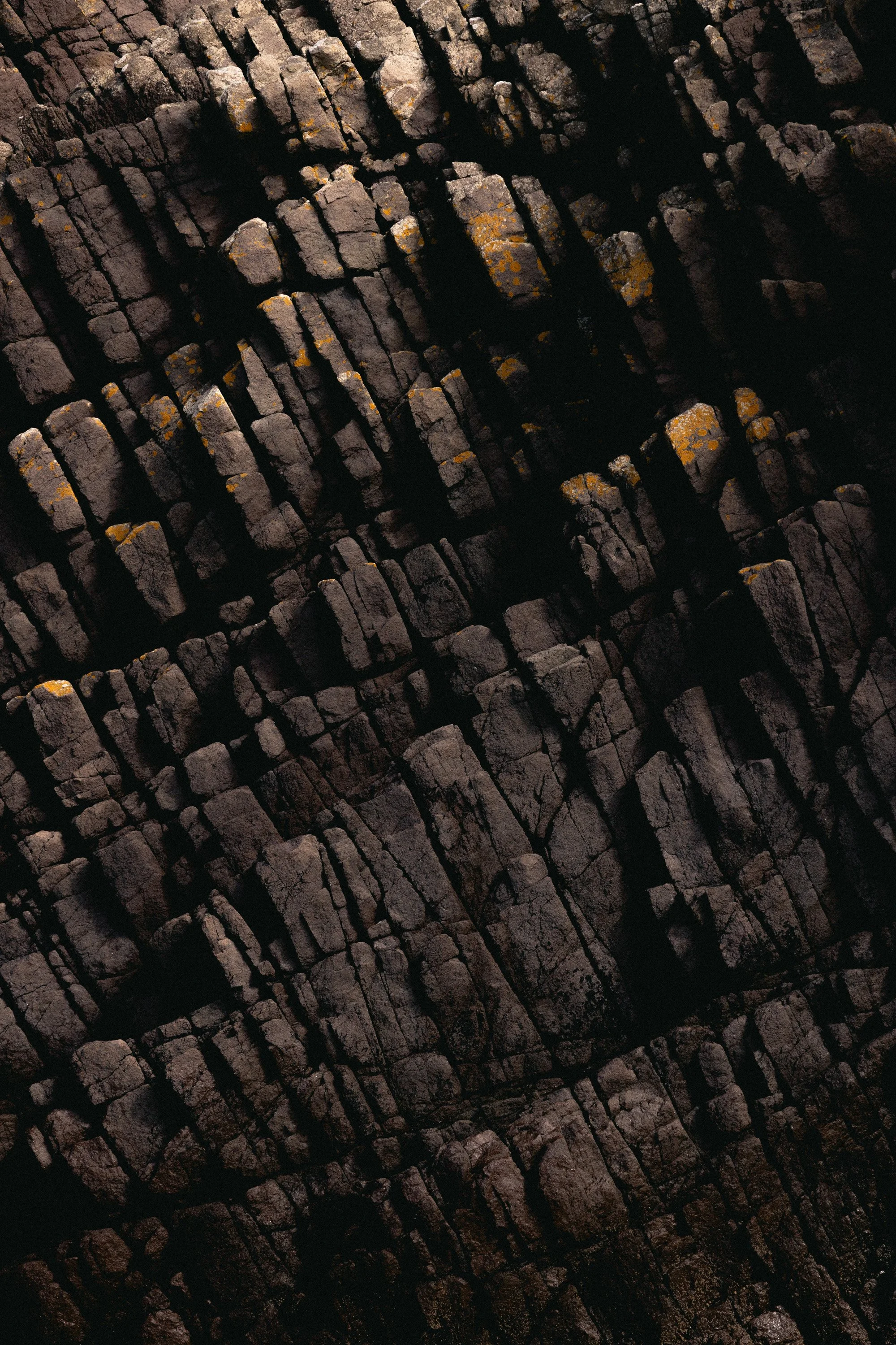 Tyninghame_EDIT2-31.jpg