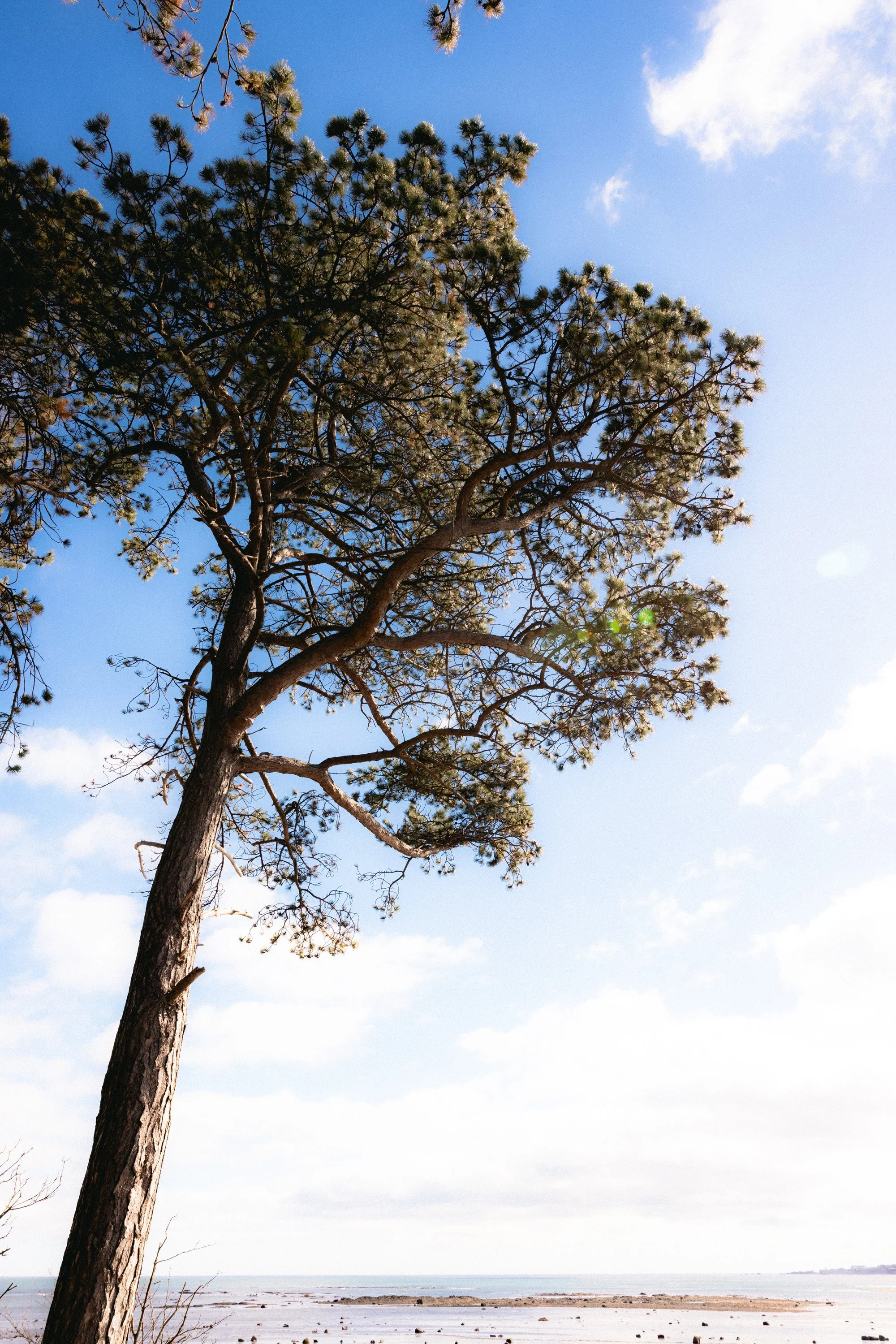 Tyninghame_EDIT2-19.jpg